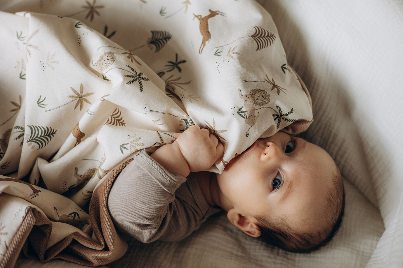 <p><span data-metadata="<!--(figmeta)eyJmaWxlS2V5IjoiRVdmSUpIMG15RTVFZVJzRW81WDlHMyIsInBhc3RlSUQiOjYyODUyMzY2NiwiZGF0YVR5cGUiOiJzY2VuZSJ9Cg==(/figmeta)-->"></span>LA MILLOU</p>