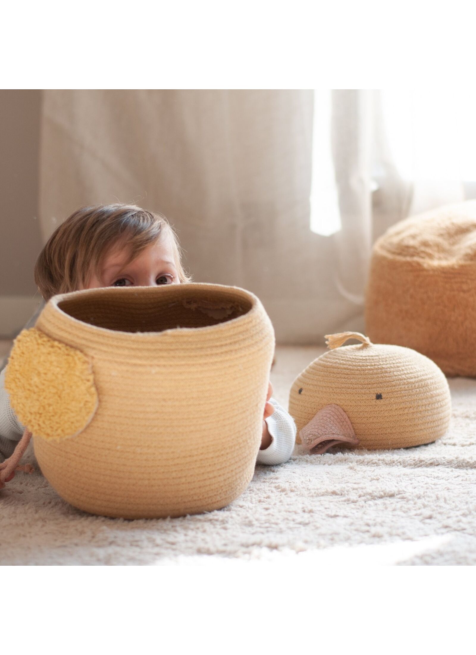 BASKET HENRY CHARLIE THE CHICKEN (25X30)