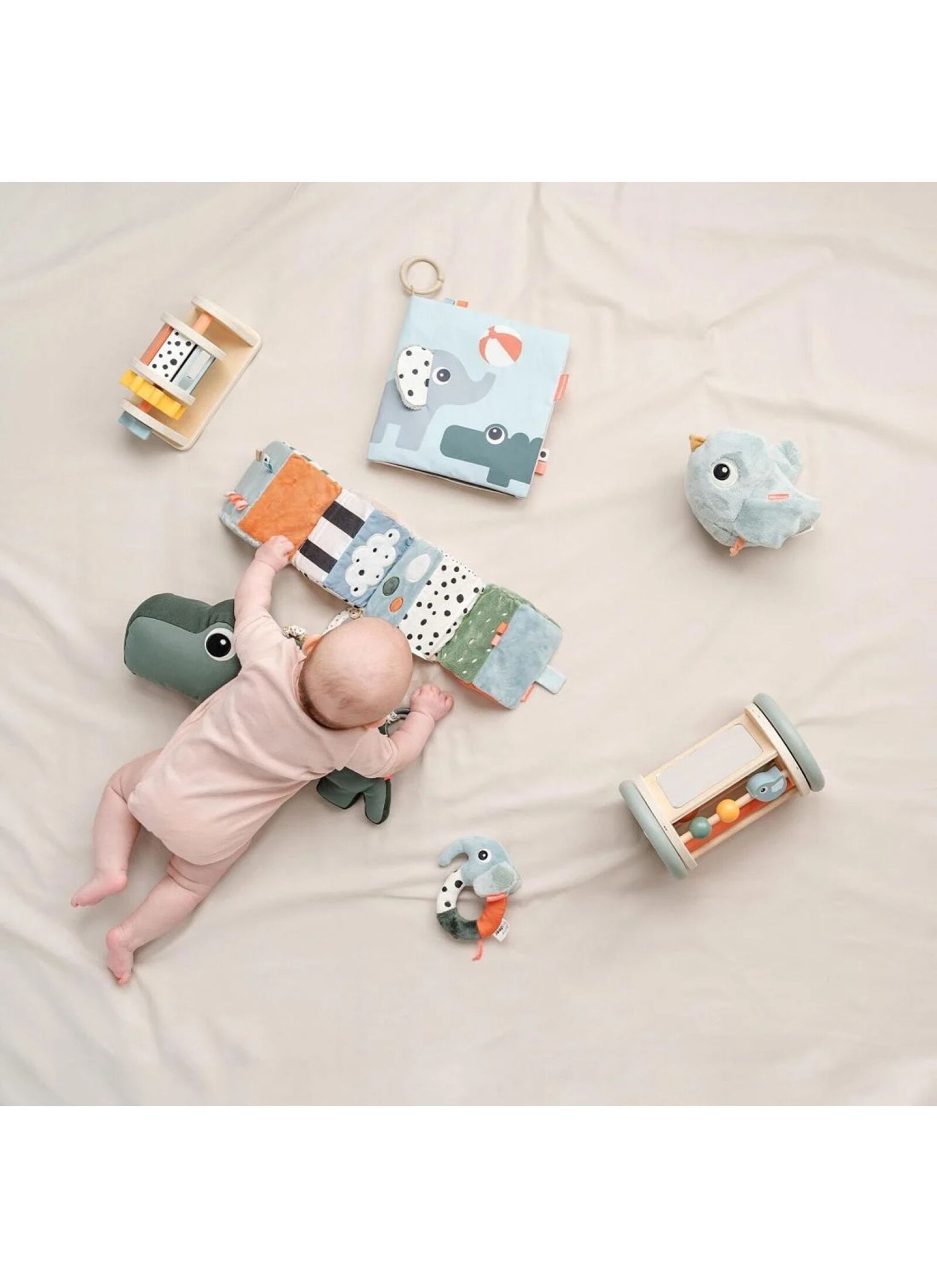 WOODEN ACTIVITY TOY ROLLING ACTIVITY BIRDEE