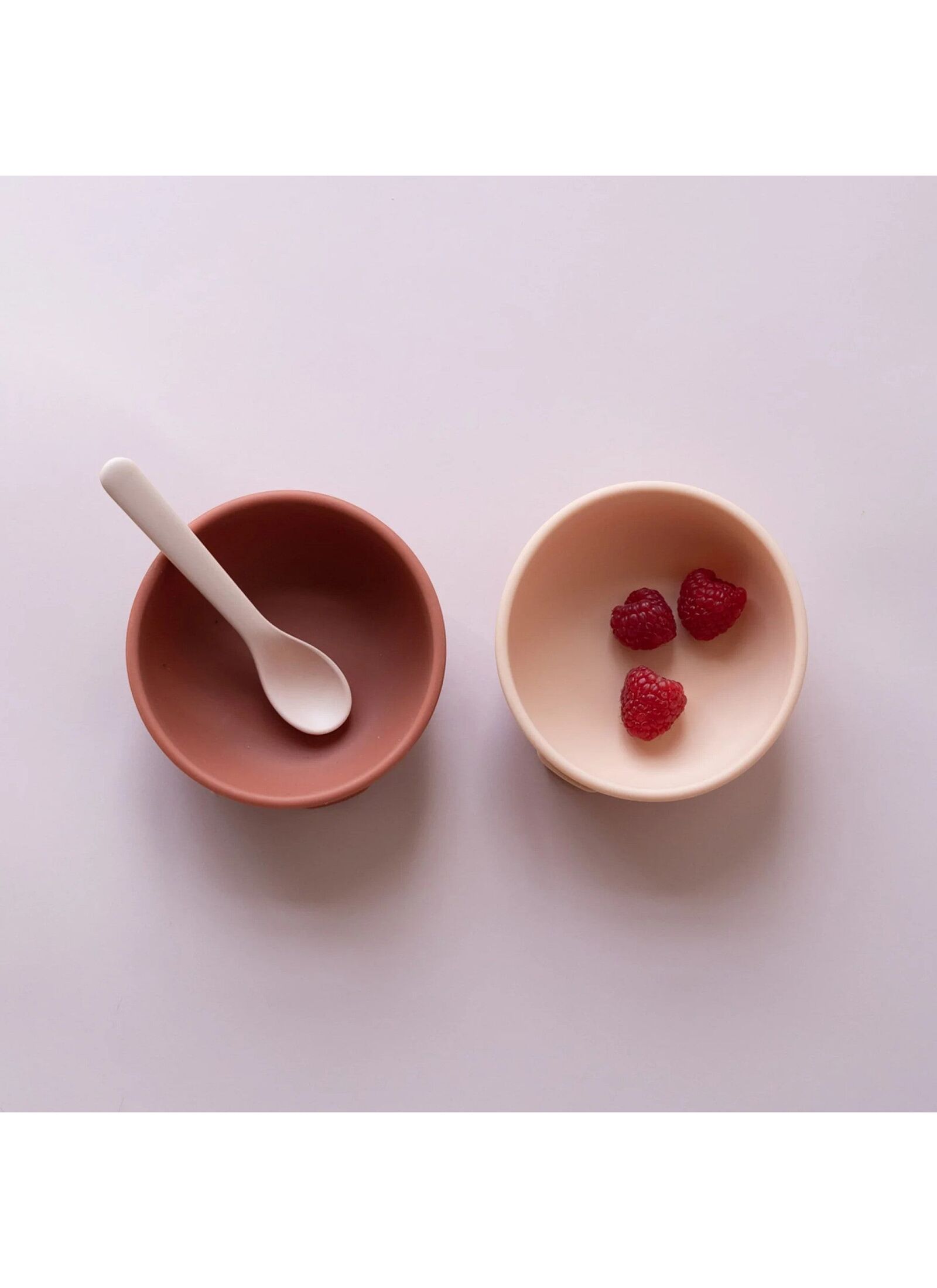 SILICONE DIVIDED PLATE TERRACOTTA