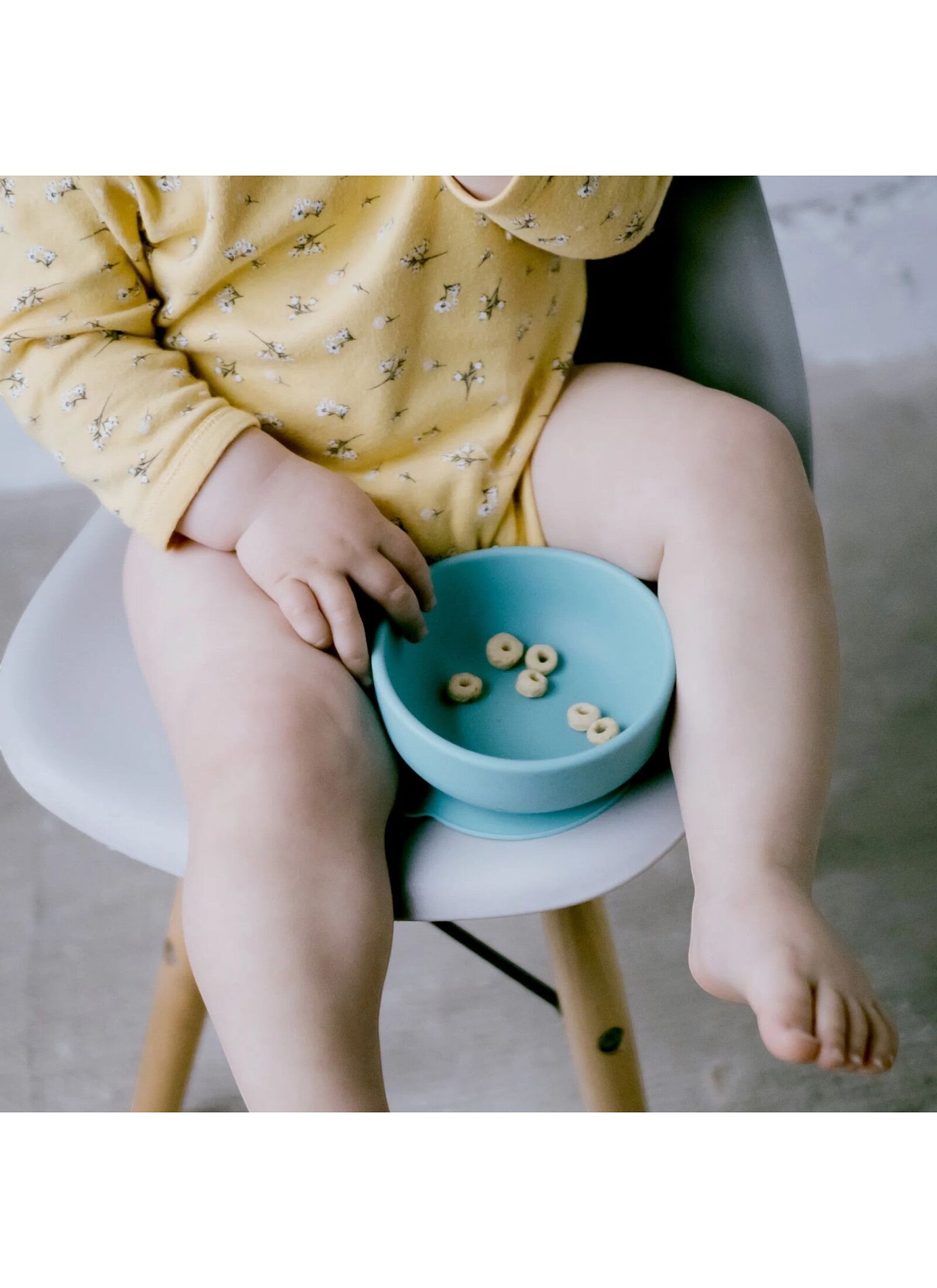 SILICONE DIVIDED PLATE LAGOON