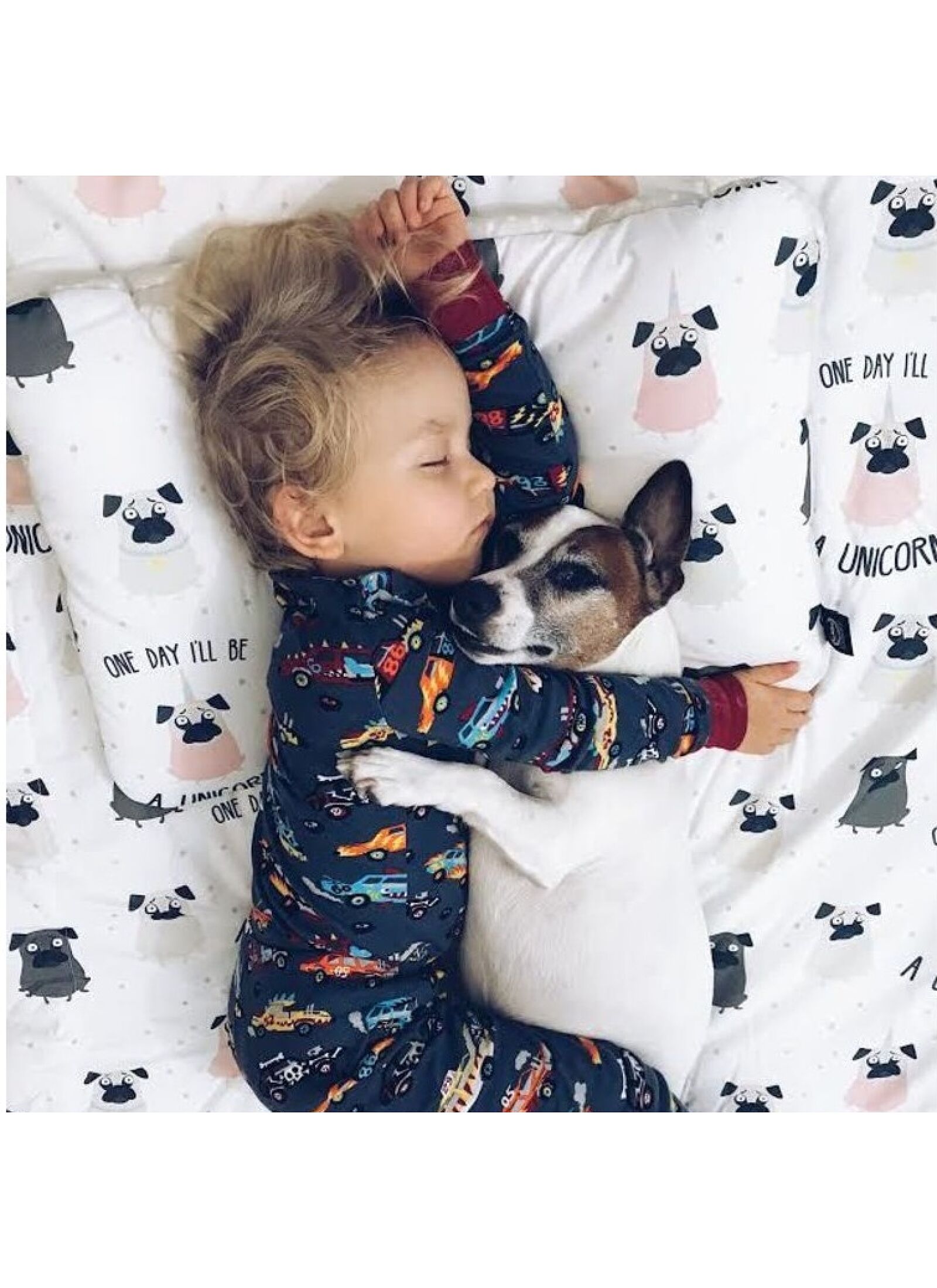 PILLOW DUNDEE &AMP; FRIENDS BLUE (40X60)