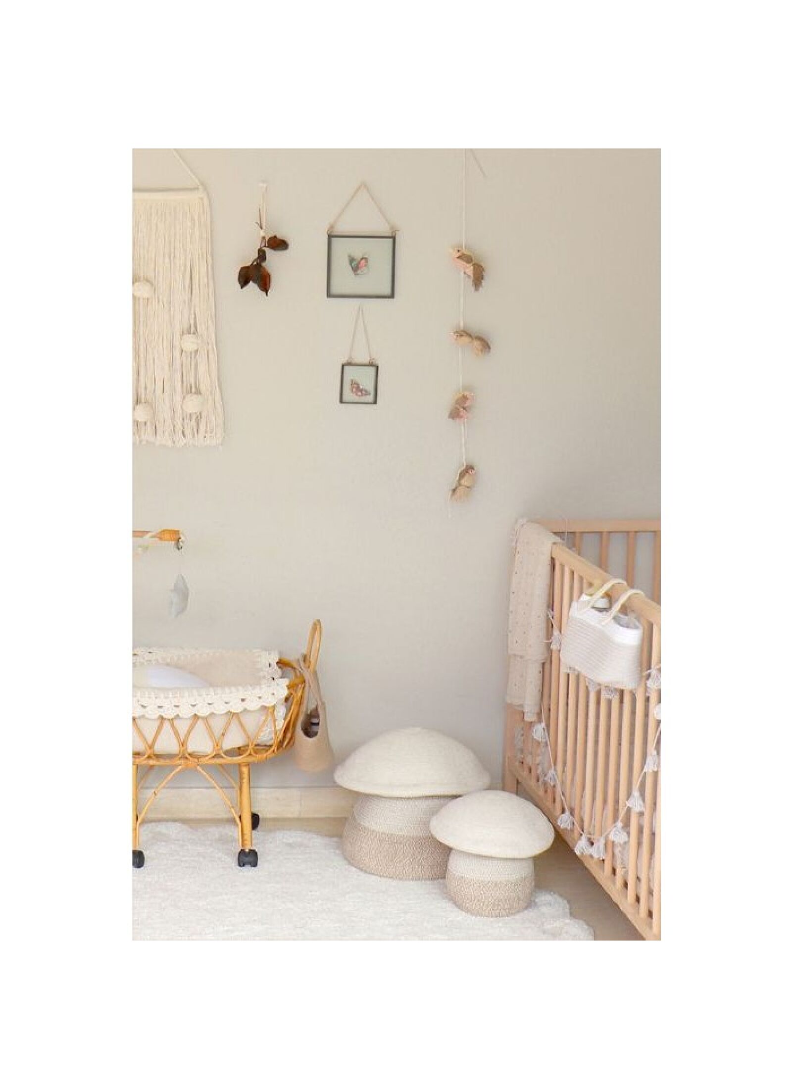 BASKET BABY MUSHROOM (23X27)