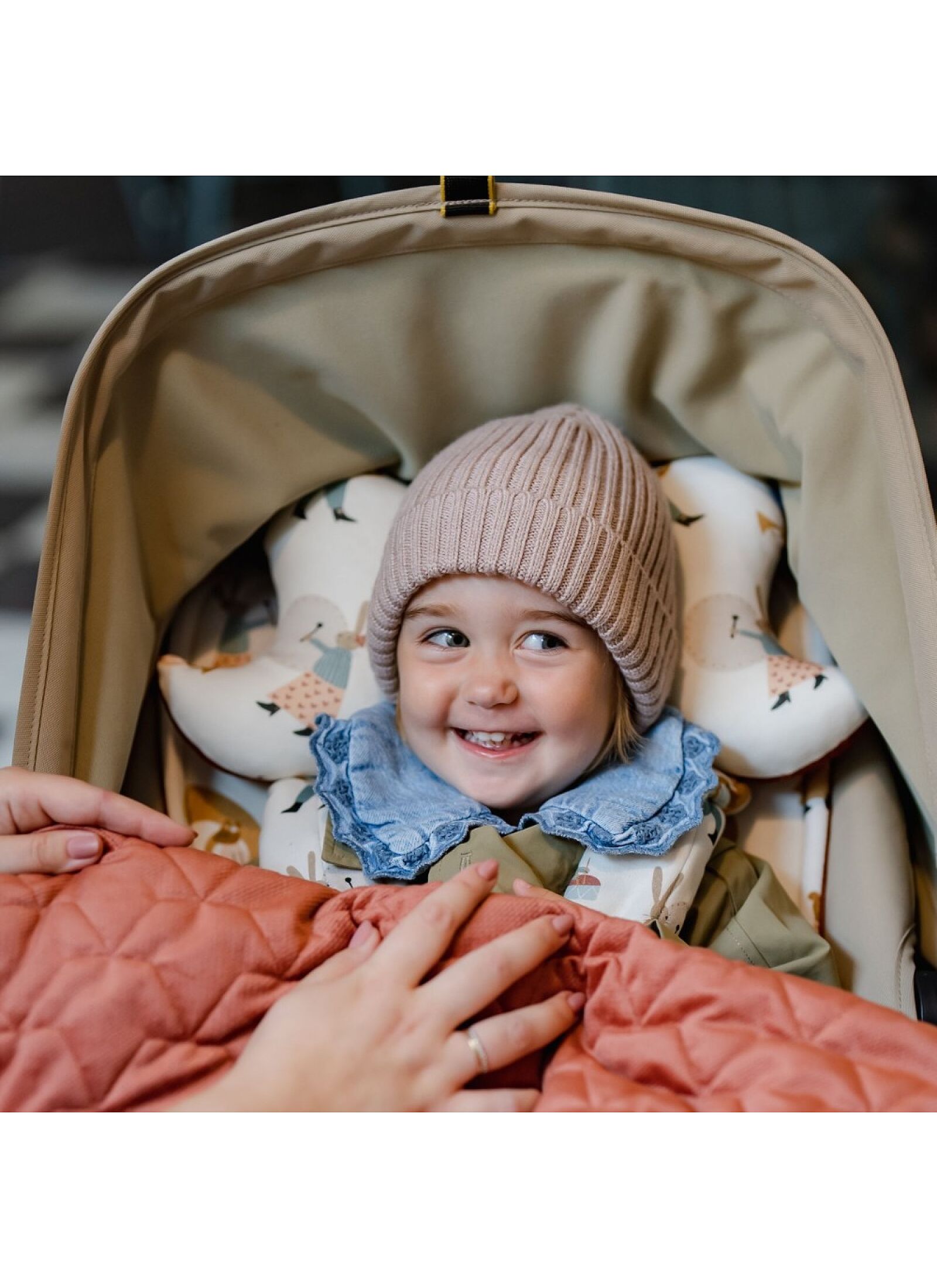 BABY PILLOW ANGEL'S WINGS PIERRE THE DOG SAND