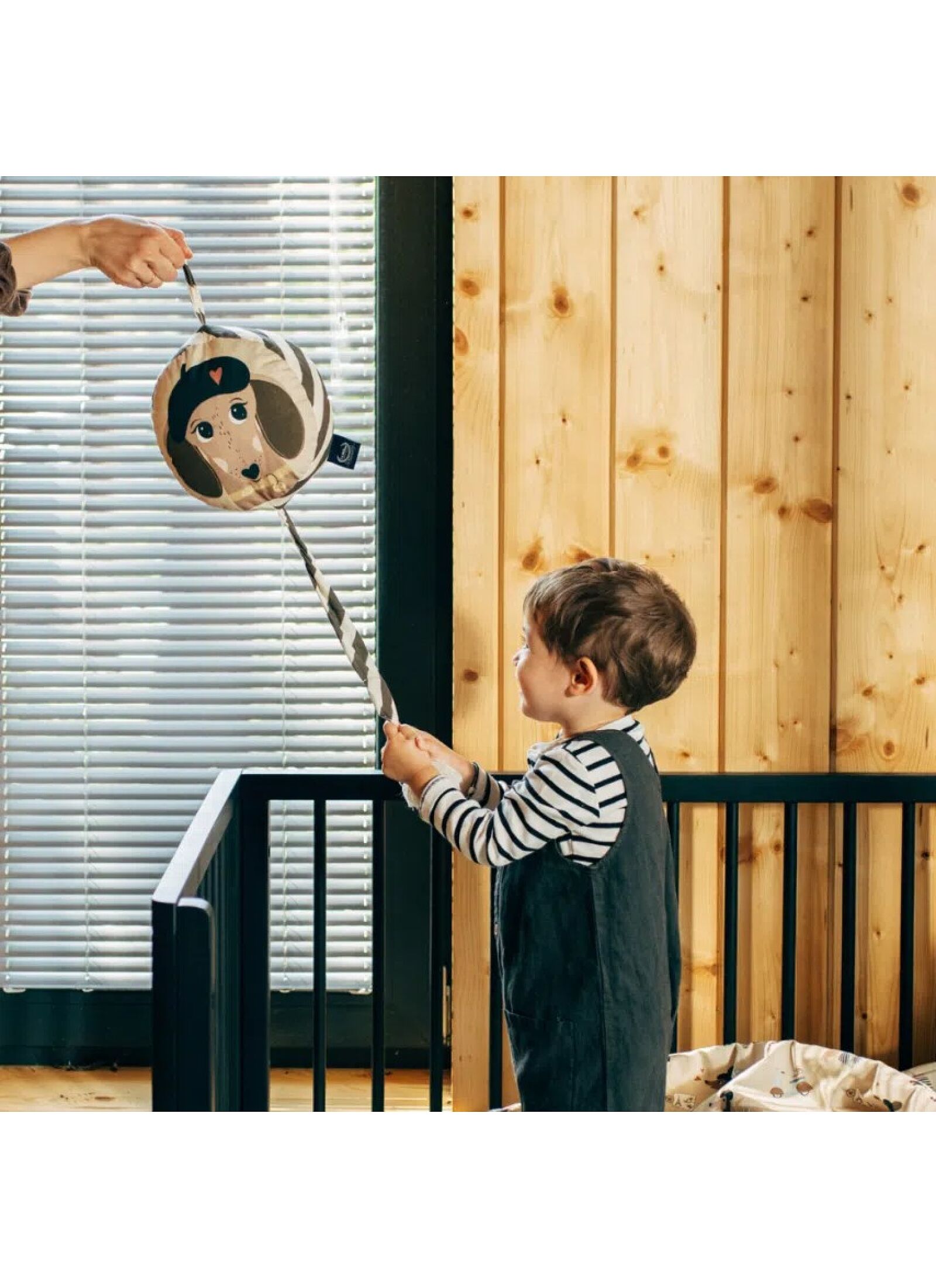 MUSIC MOBILE STAR PIERRE THE DOG