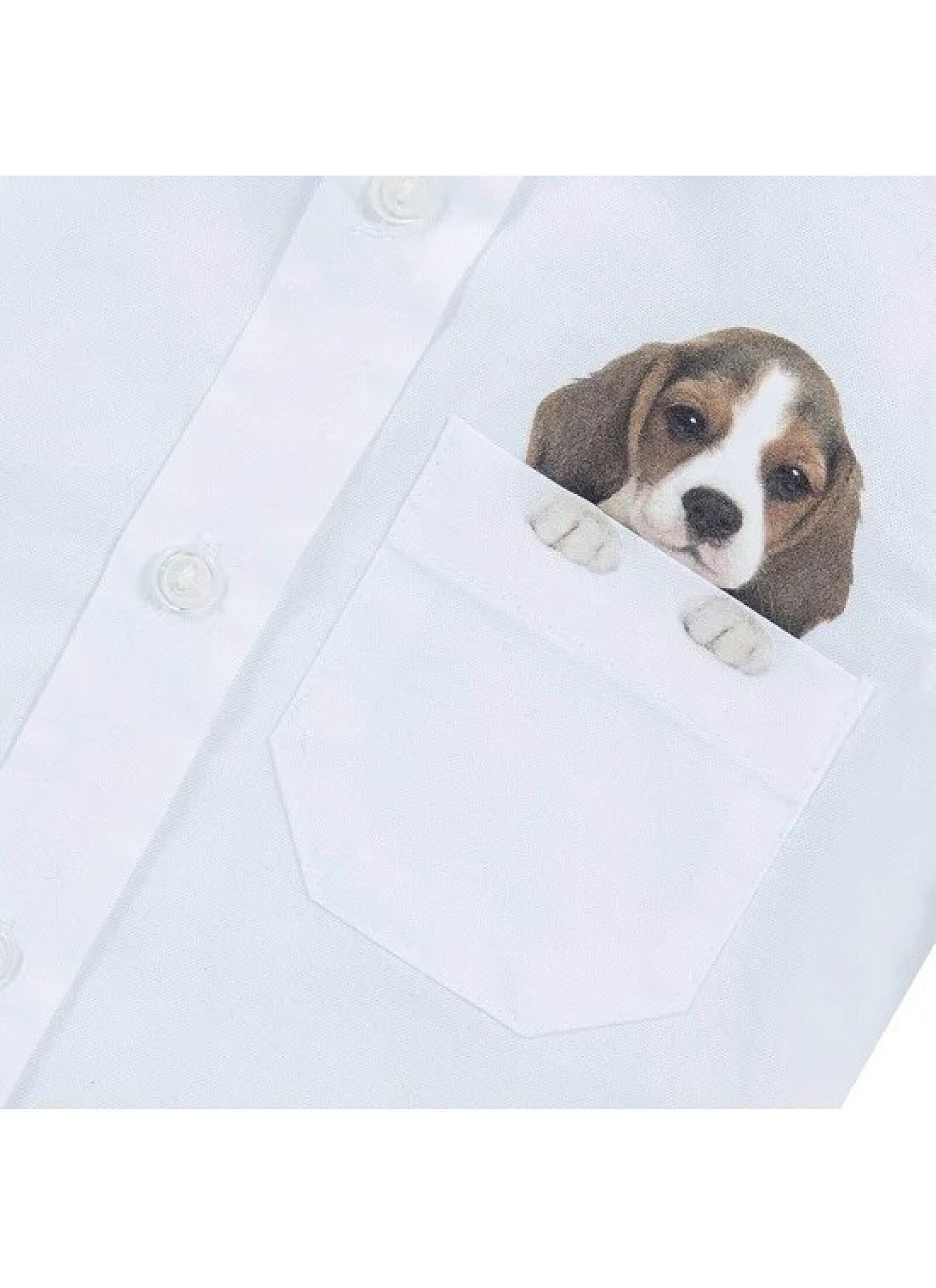 SHIRT DOG