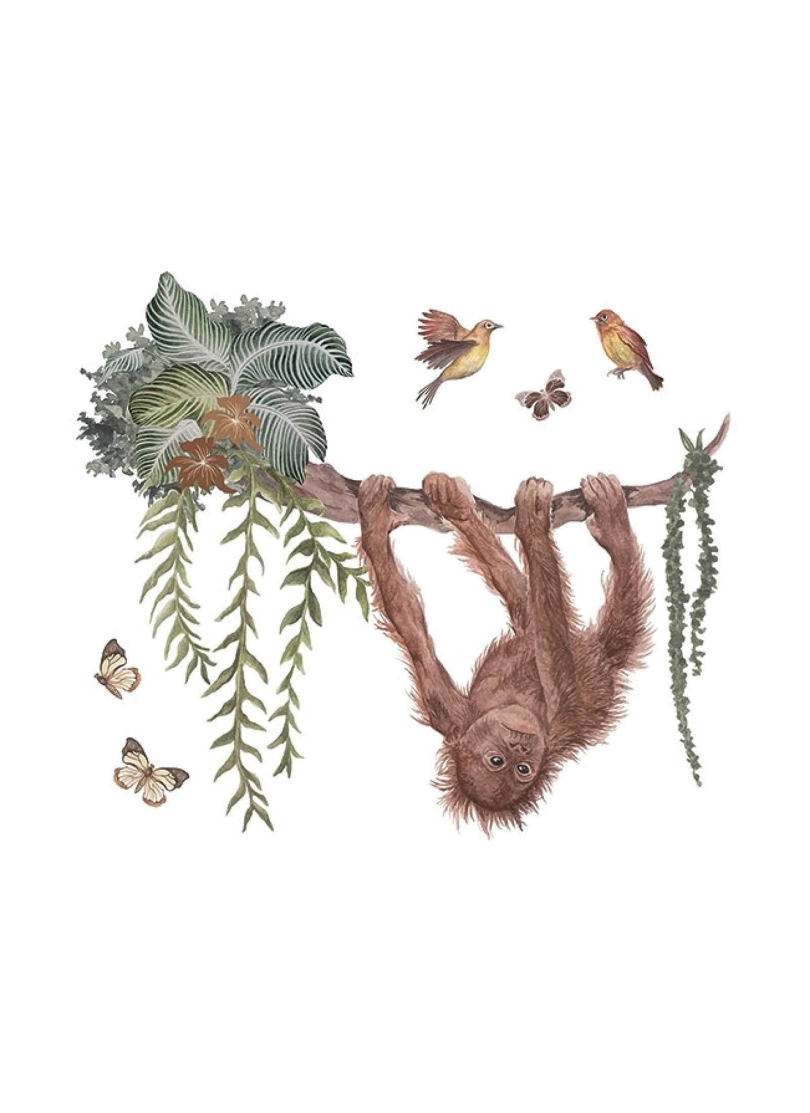 WALL STICKERS ORANGUTAN