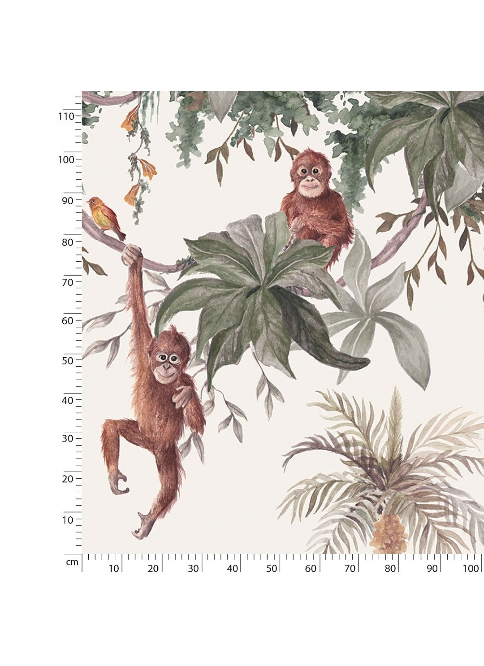 PANORAMIC WALLPAPER THE MONKEYS