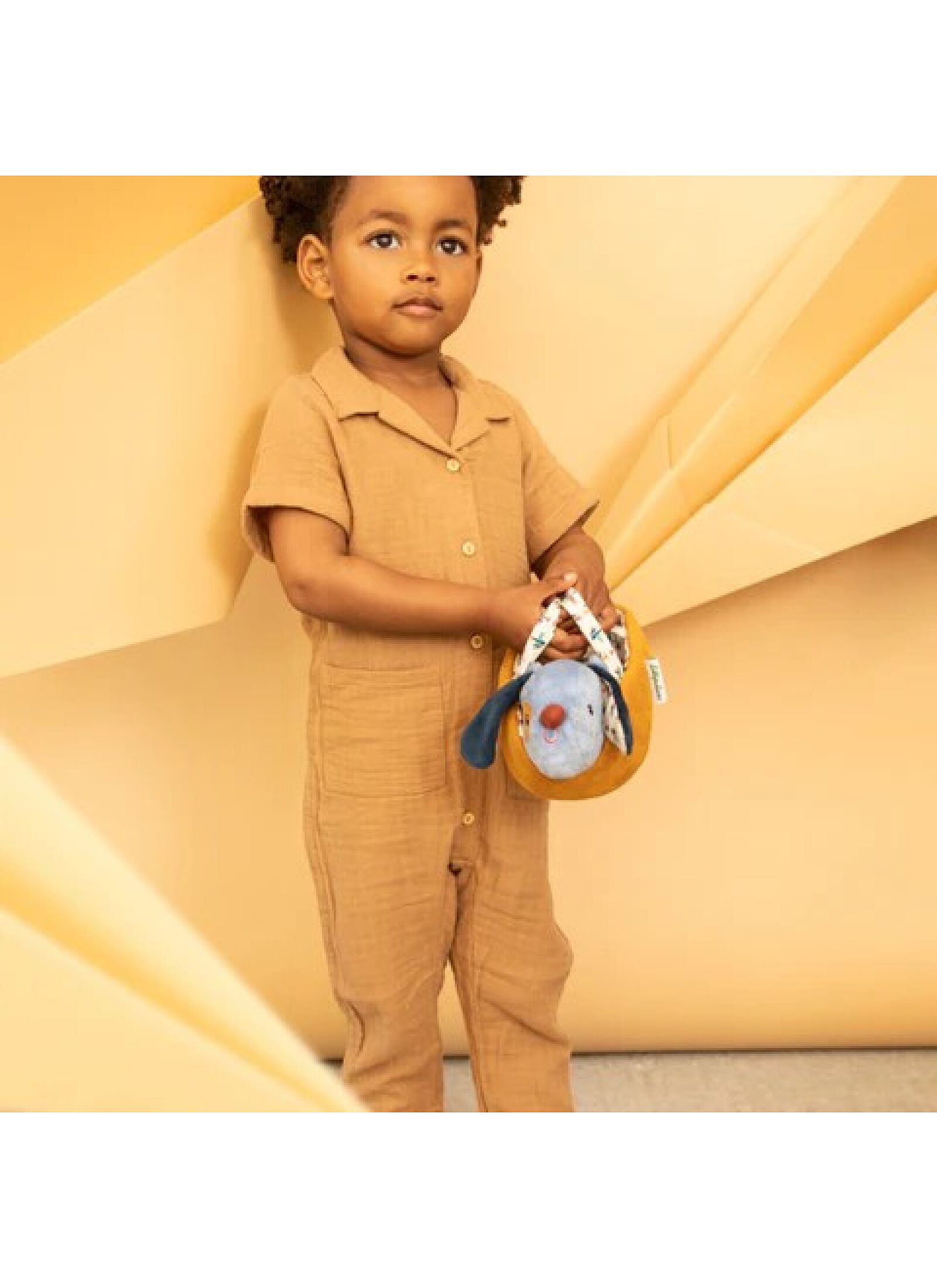 SOFT DOG WITH BASKET JULES