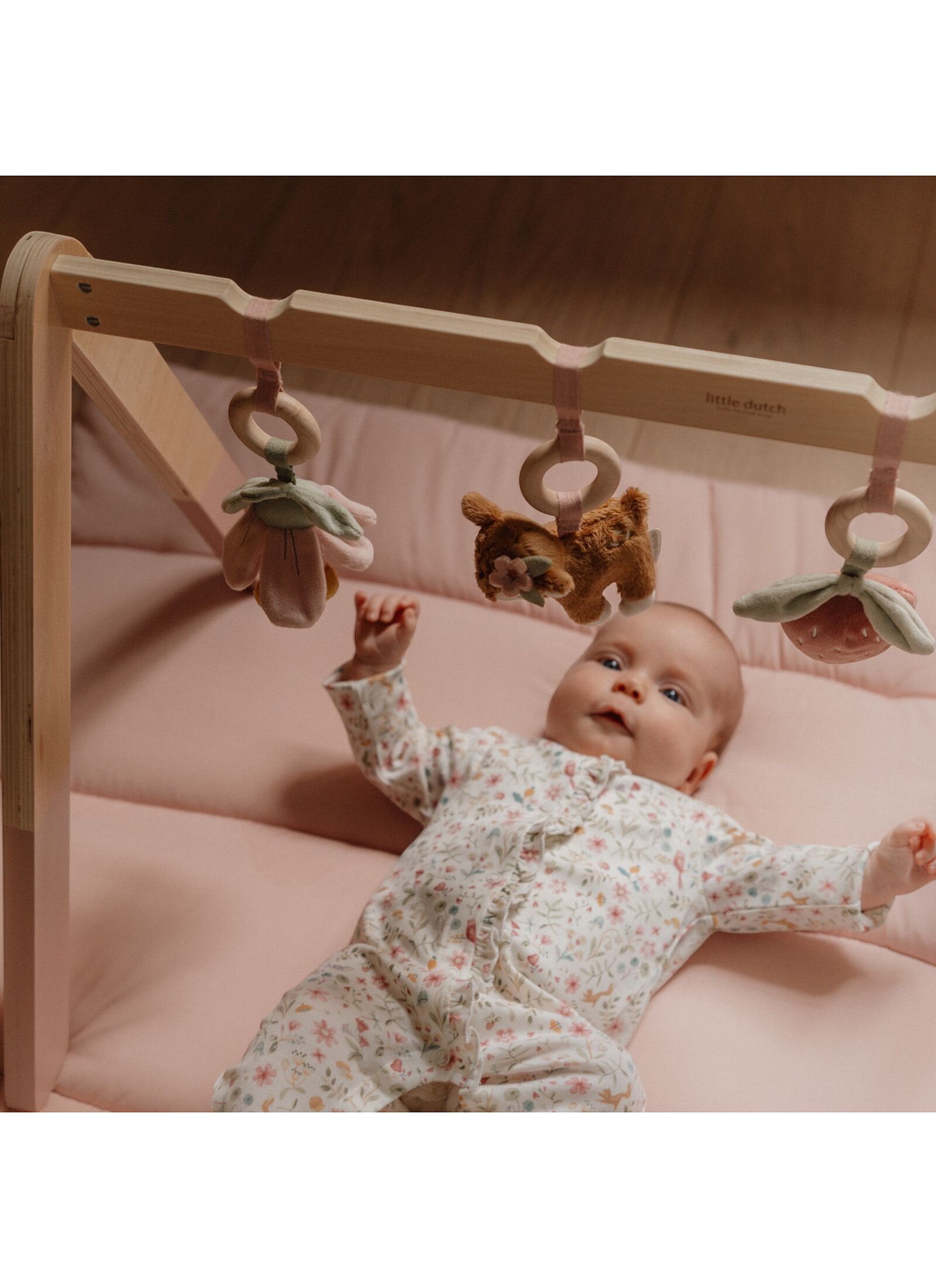 WOODEN BABY GYM FAIRY GARDEN