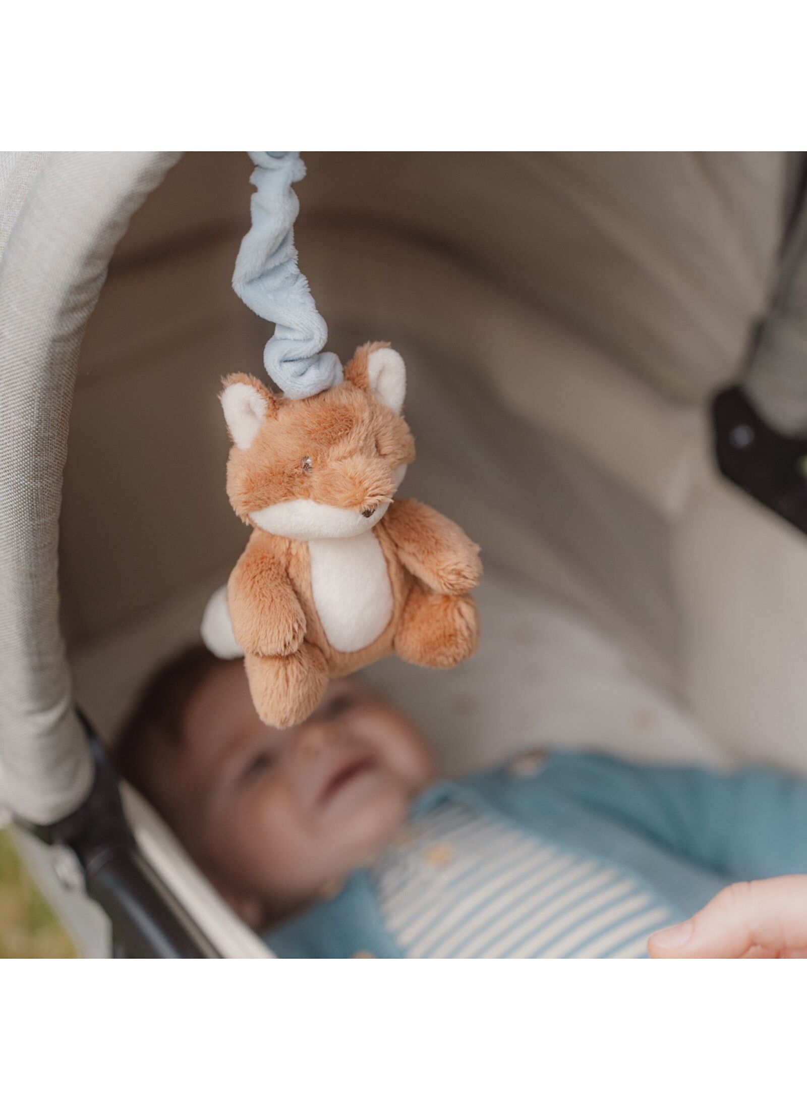 PULL AND SHAKE FOREST FIRENDS