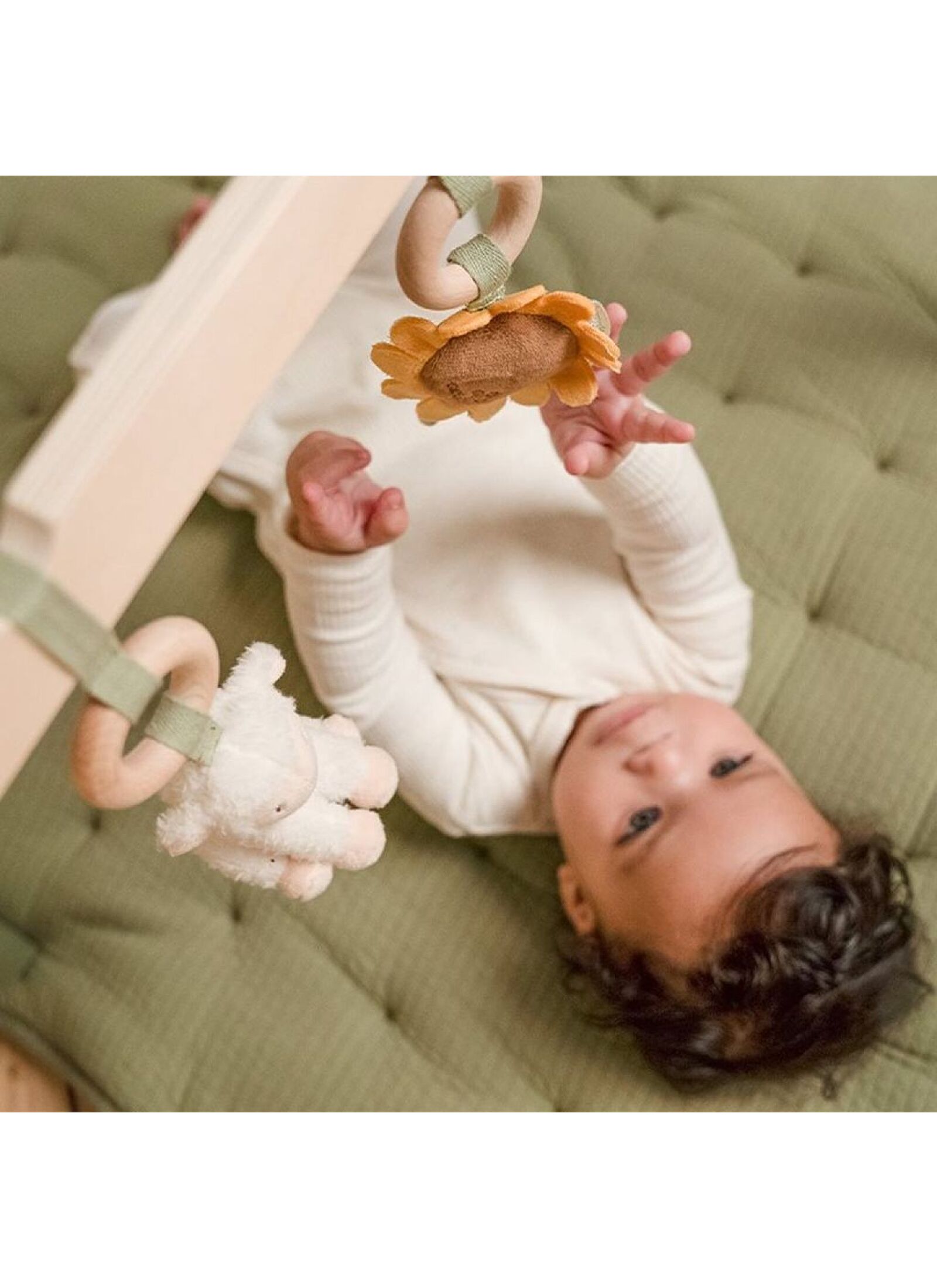 WOODEN BABY GYM LITTLE FARM