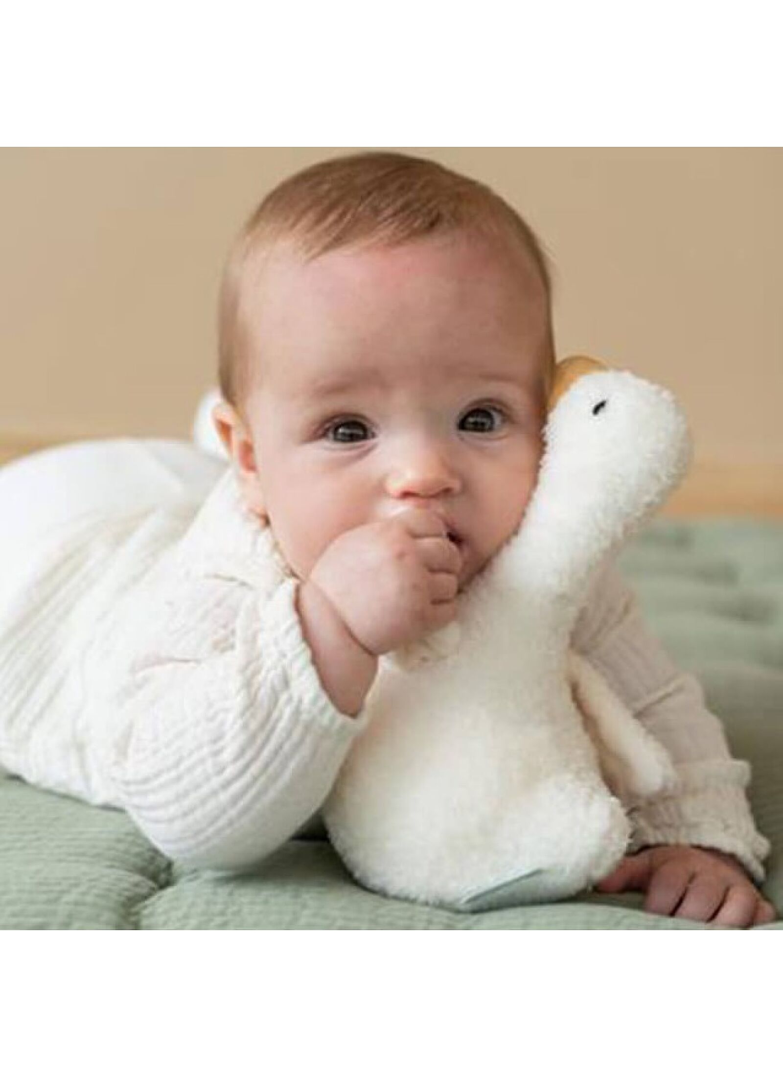 SOFT TOY TUMBLER LITTLE GOOSE