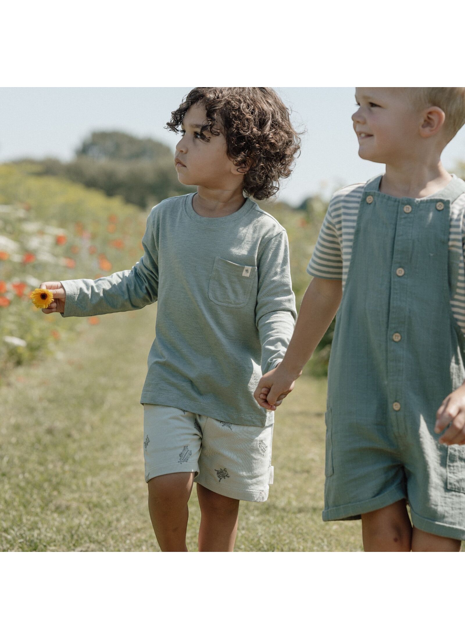 SHORTSLEEVE T-SHIRT FROM ORGANIC COTTON FOREST GREEN STRIPE