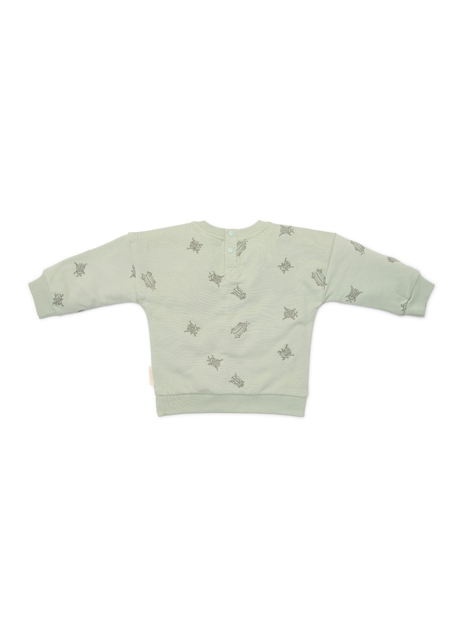 ORGANIC COTTON SWEATSHIRT FOREST MINT BUGS