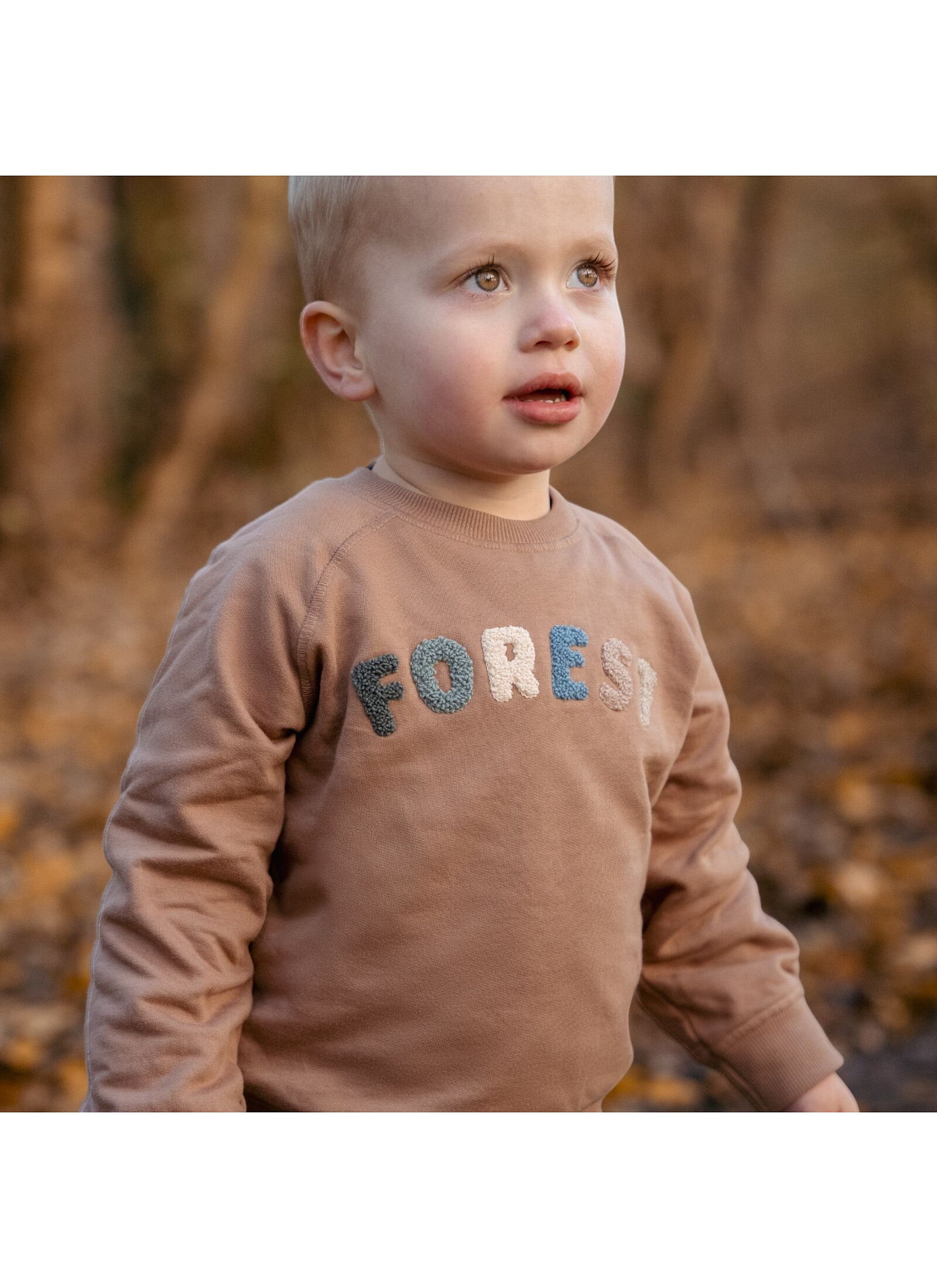 ORGANIC COTTON SWEATSHIRT BROWN
