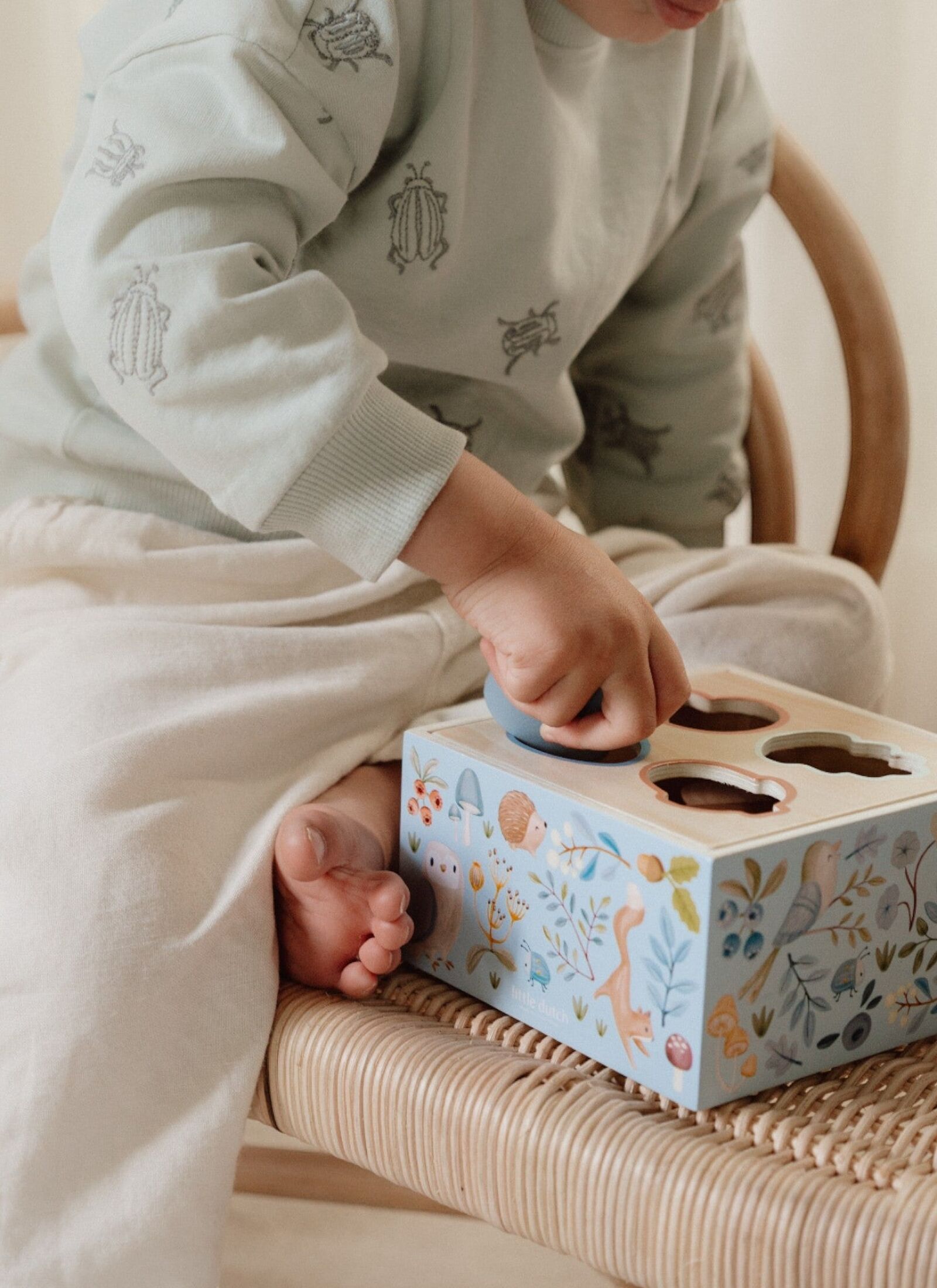 SHAPE SORTER FOREST FRIENDS