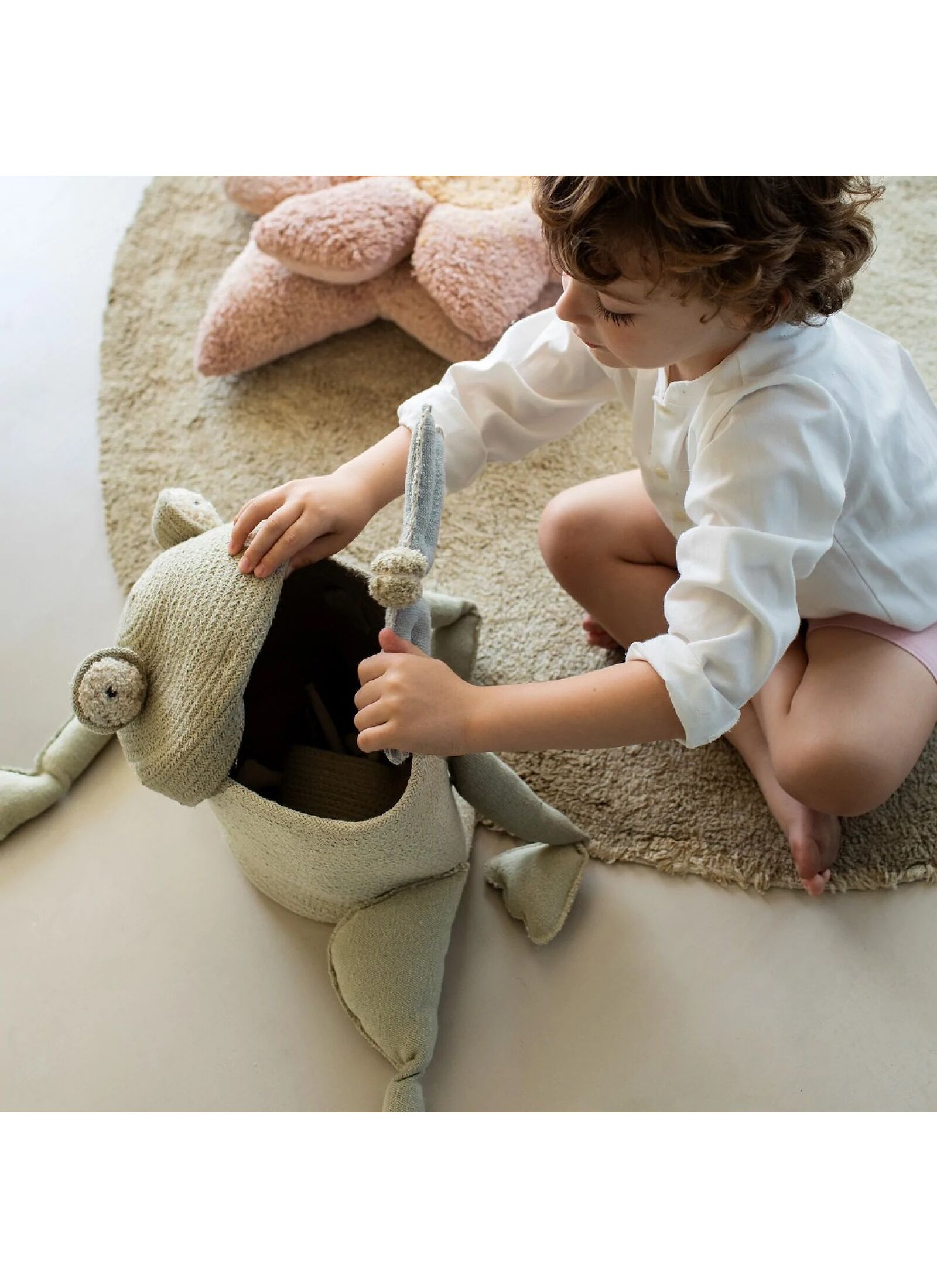 BASKET FRED THE FROG (23X35)