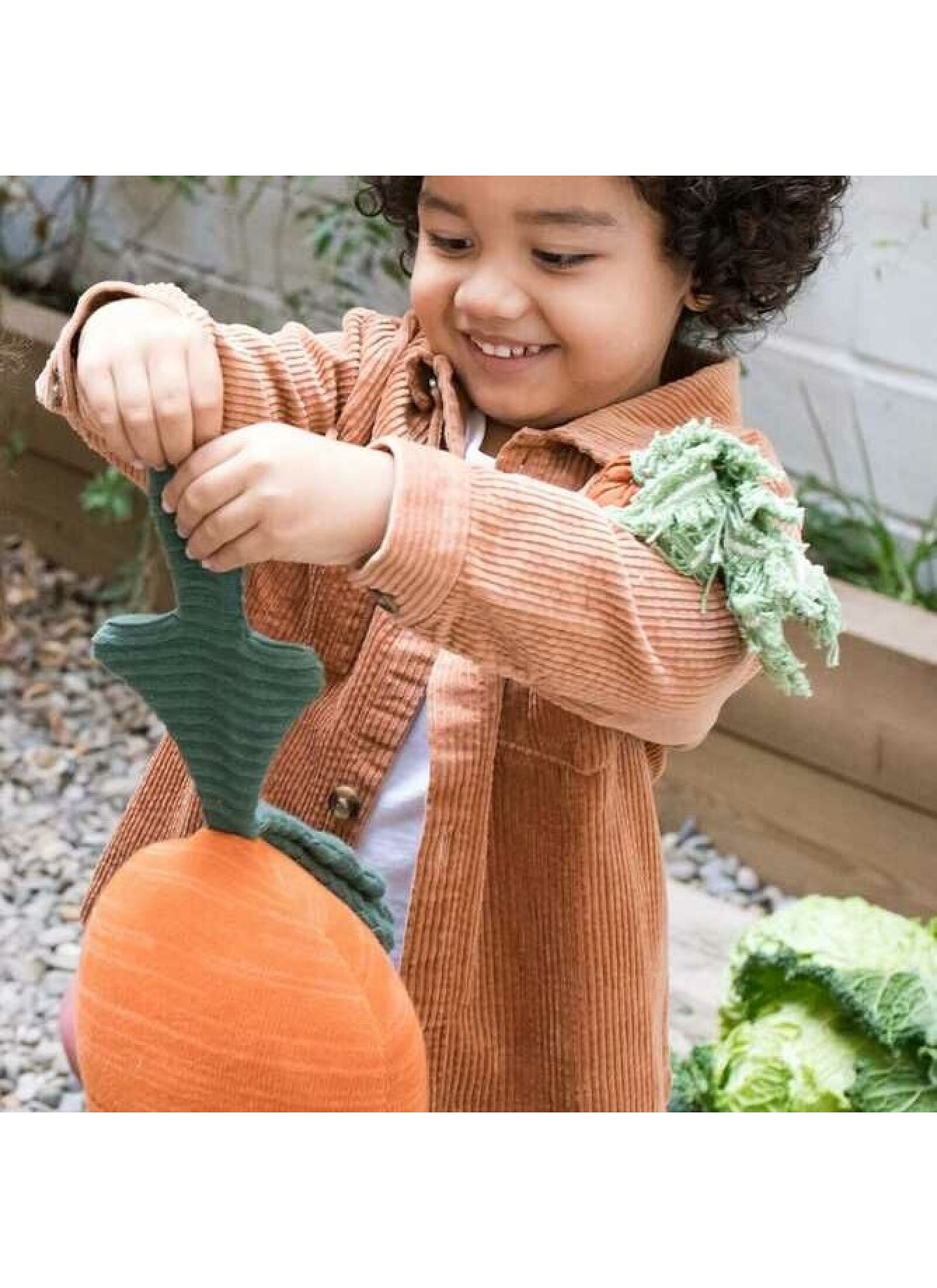 CUSHION CATHY THE CARROT