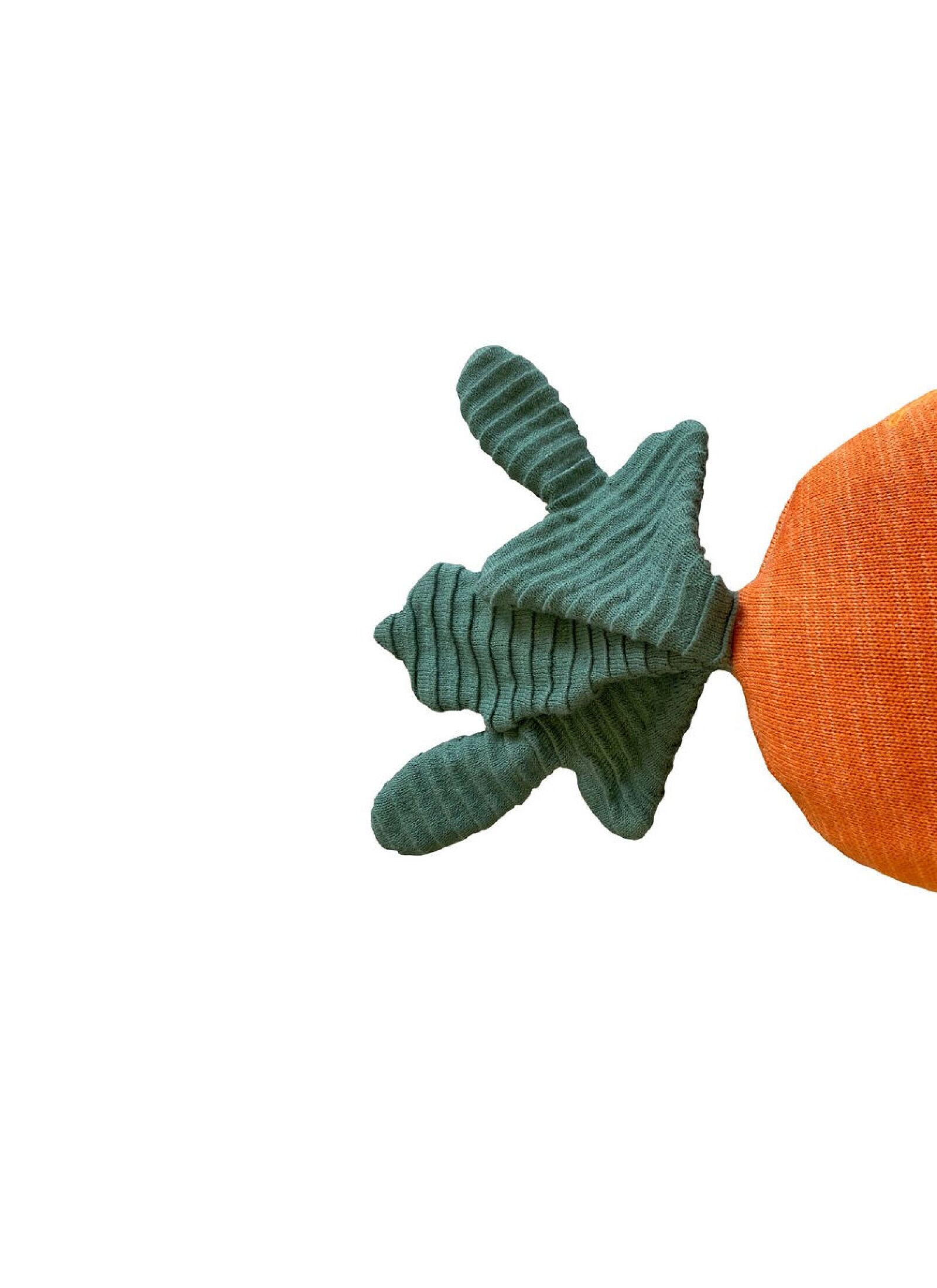 CUSHION CATHY THE CARROT