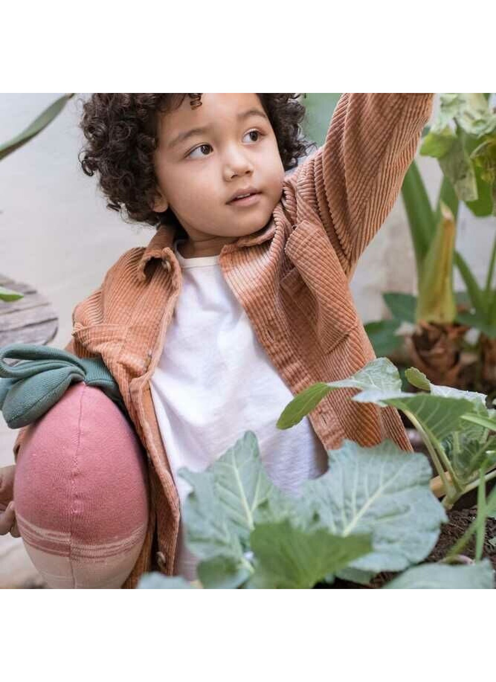 CUSHION RAMONA THE RADISH