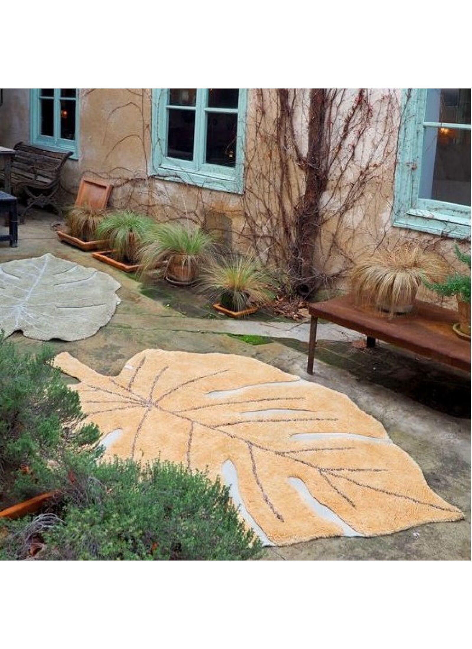 RUG MONSTERA HONEY (120X180)