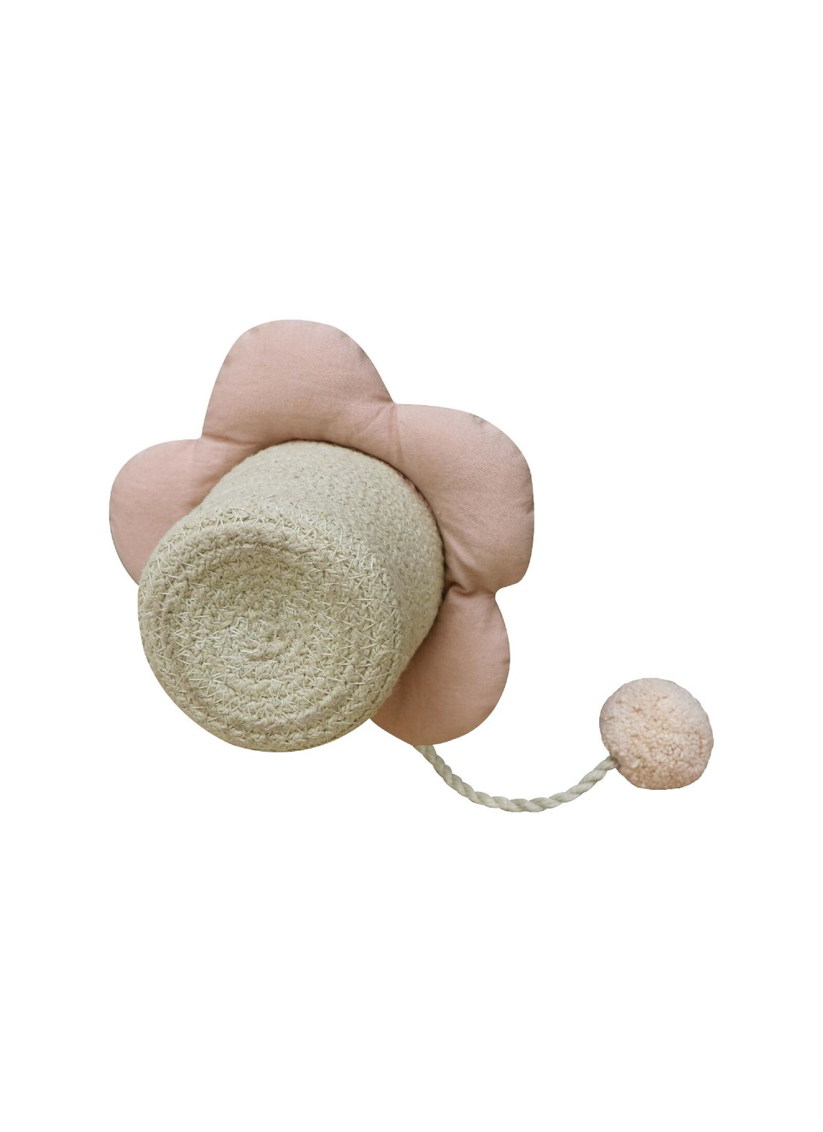 CUP &AMP; BALL FLOWER