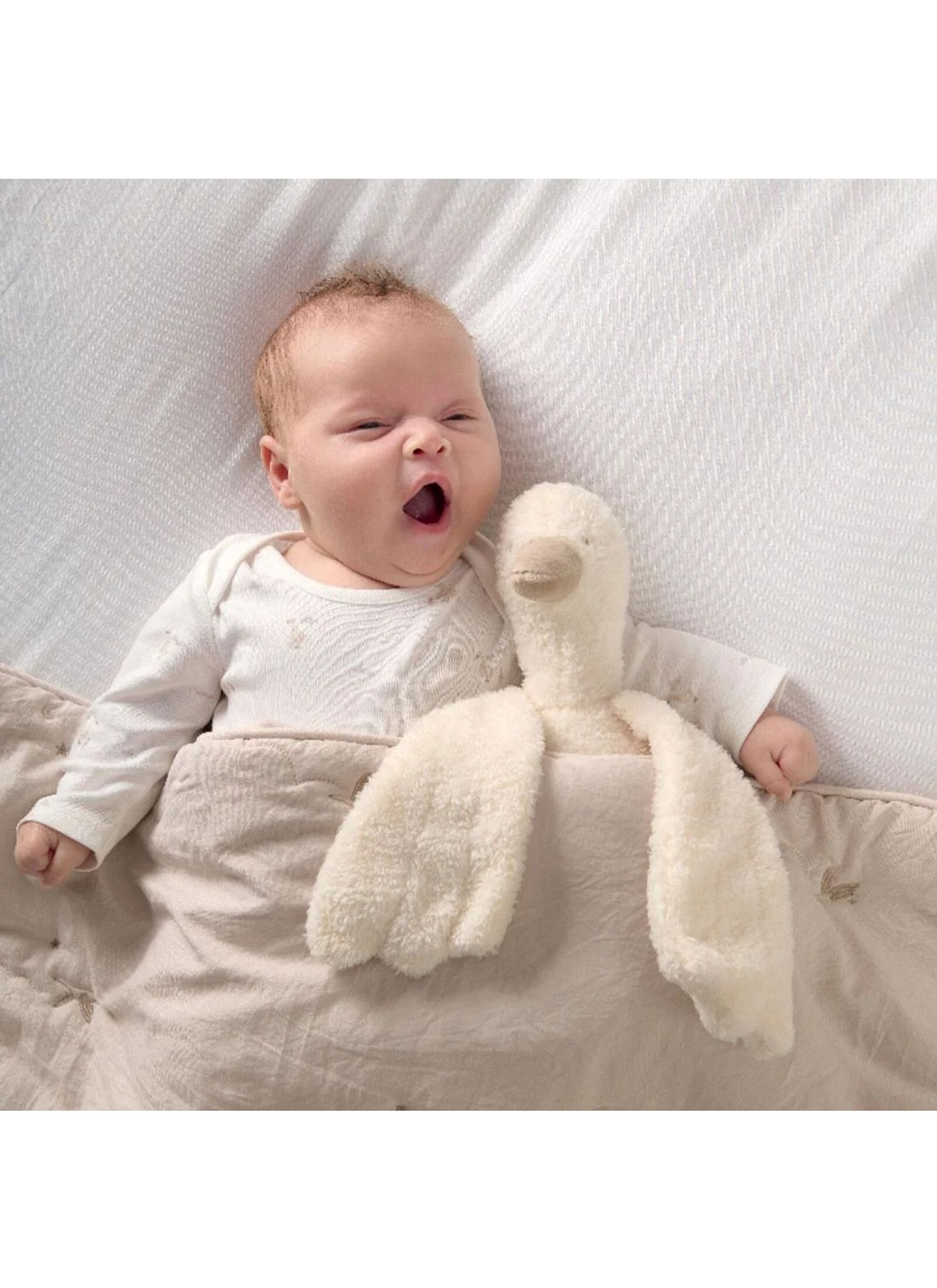 SNUGGLE TOY WTTW DUCKLING BEANIE