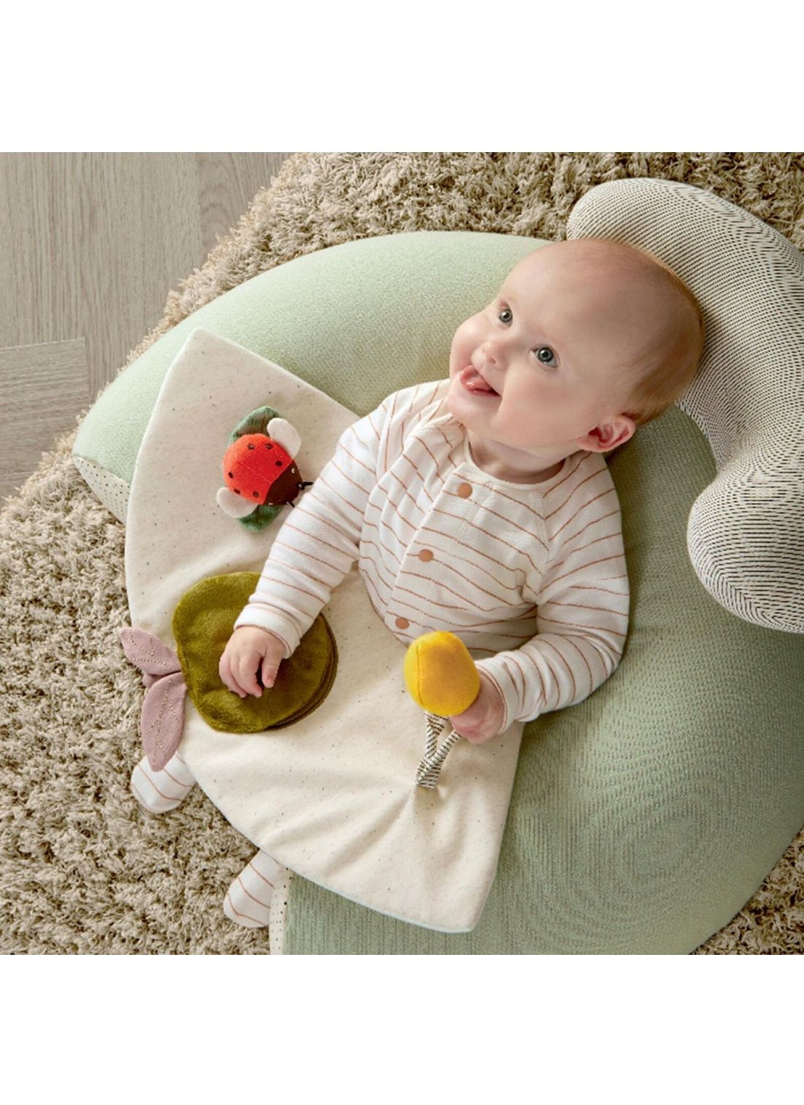 ACTIVITY SEAT SAFARI