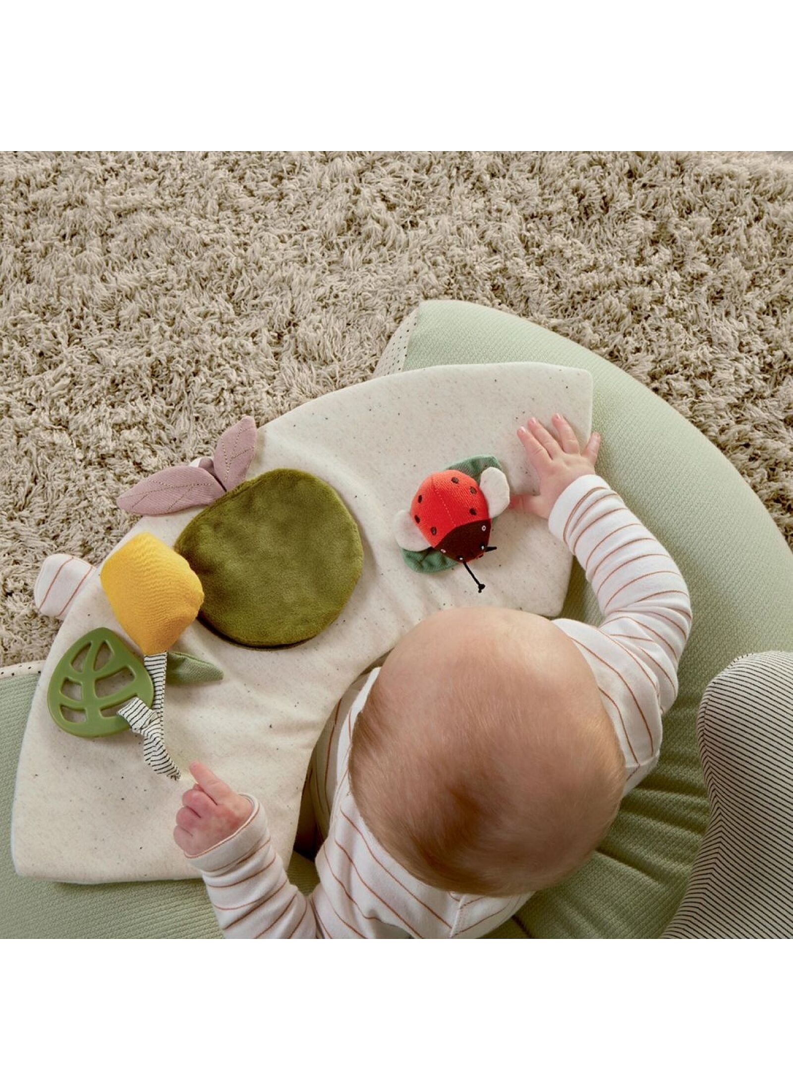 ACTIVITY SEAT SAFARI