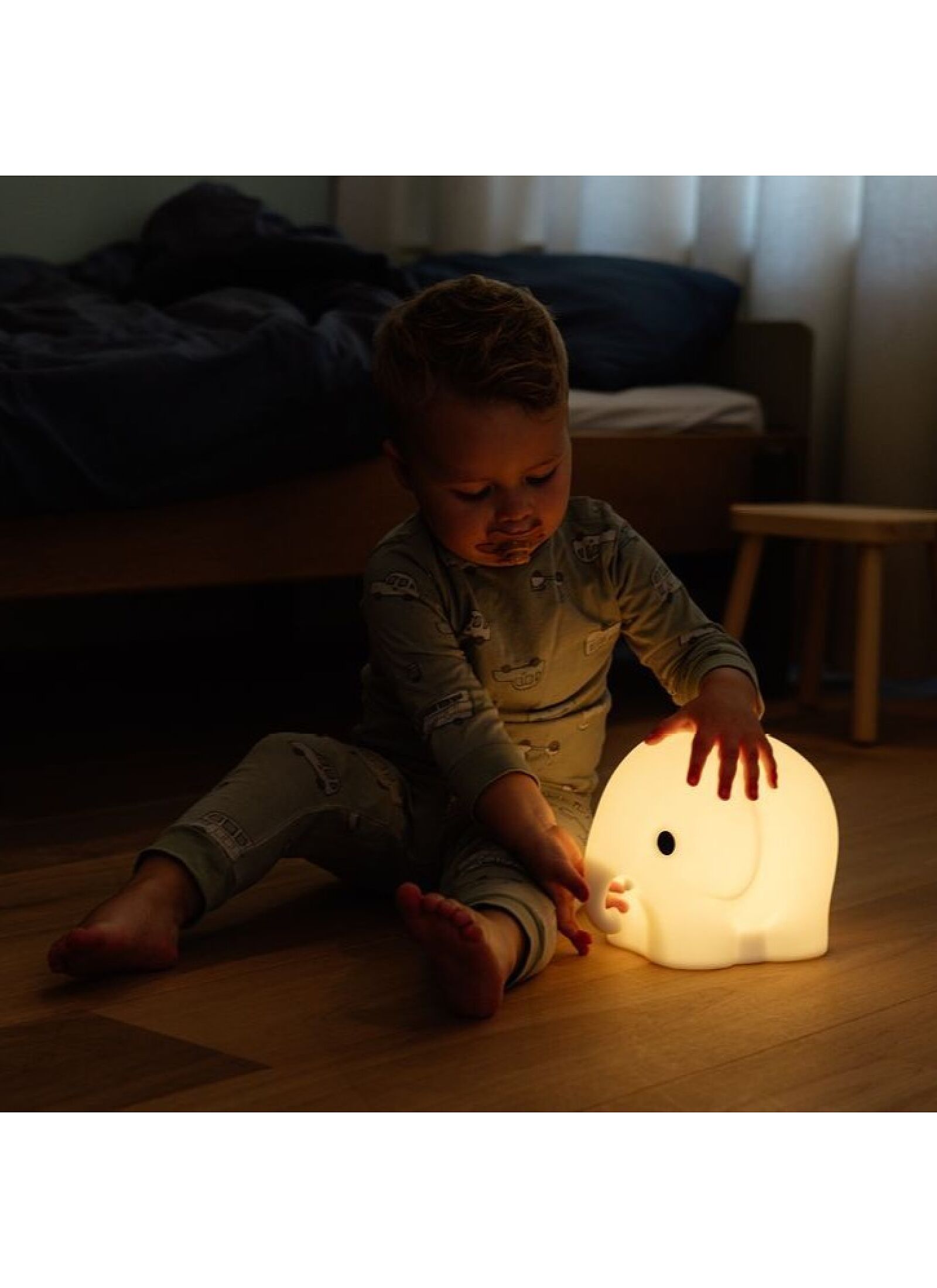 LED LIGHT ELEPHANT FIRST