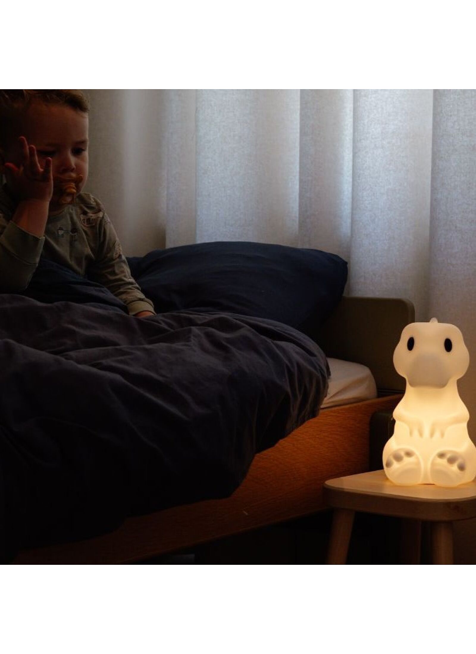 LED LIGHT RENA FIRST