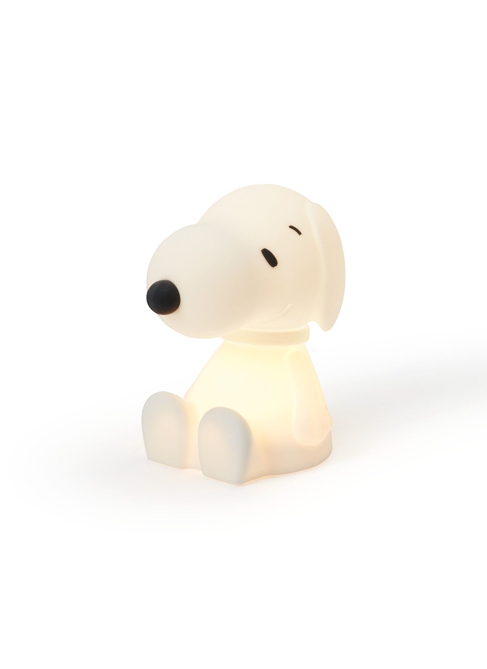 LED LIGHT SNOOPY BUNDLE OF LIGHT