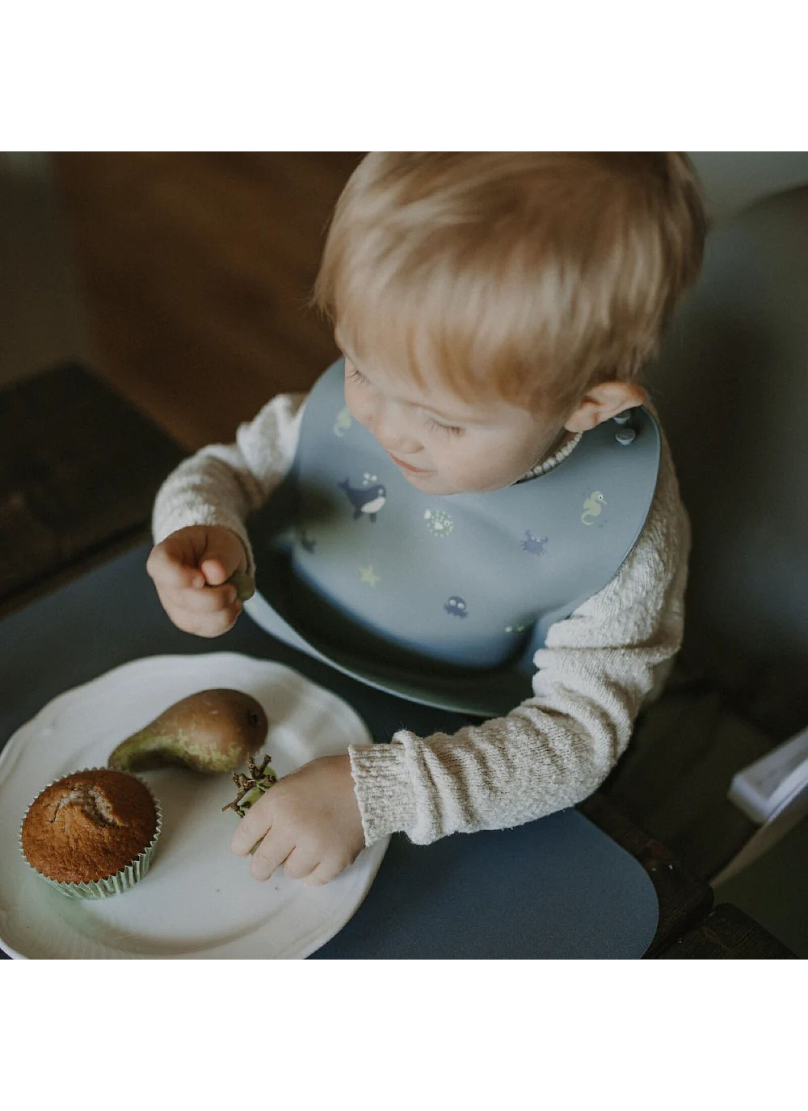 SILICONE BIB WILD OCEAN