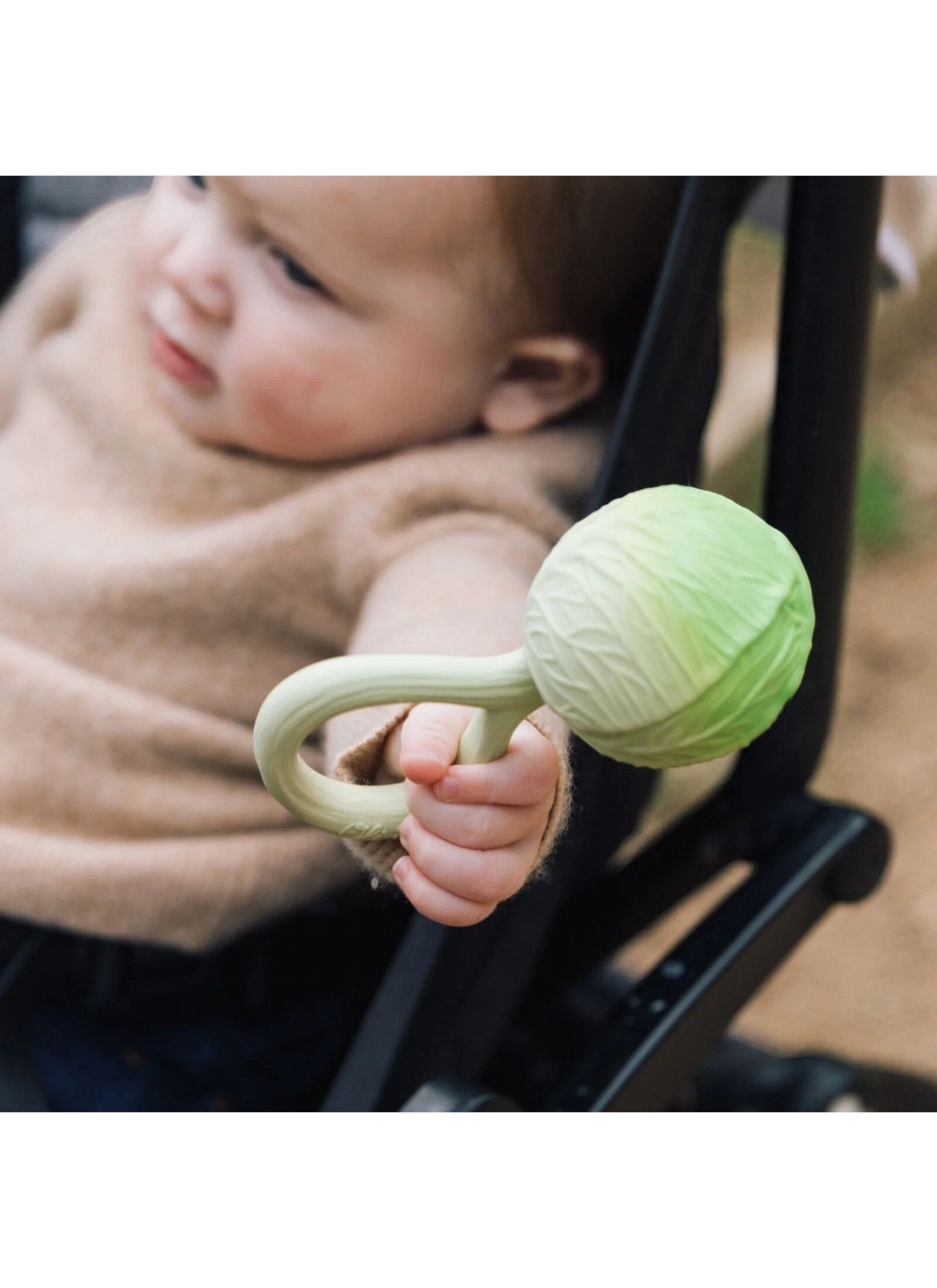 RATTLE-TEETHER CABBAGE