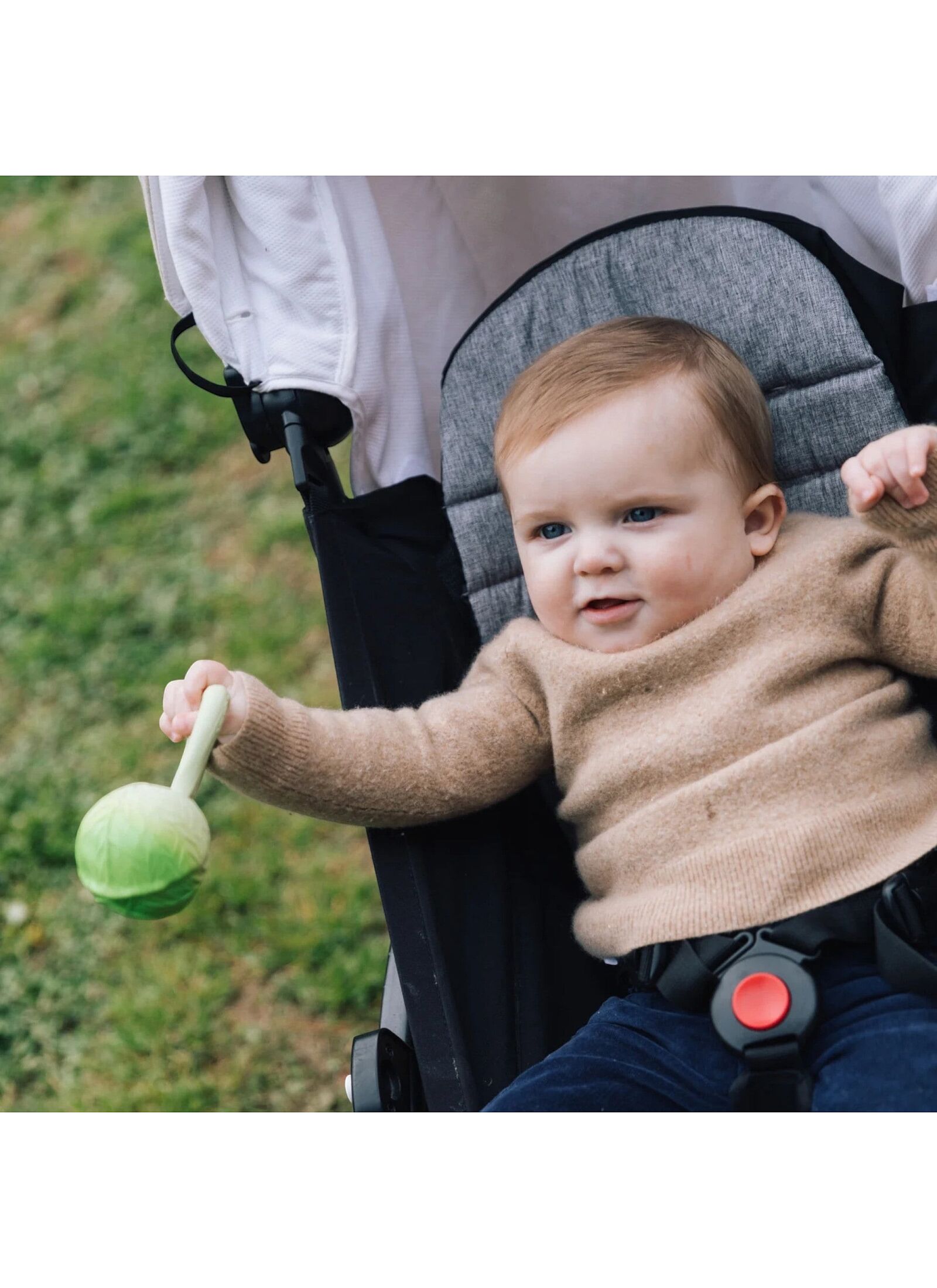 RATTLE-TEETHER CABBAGE