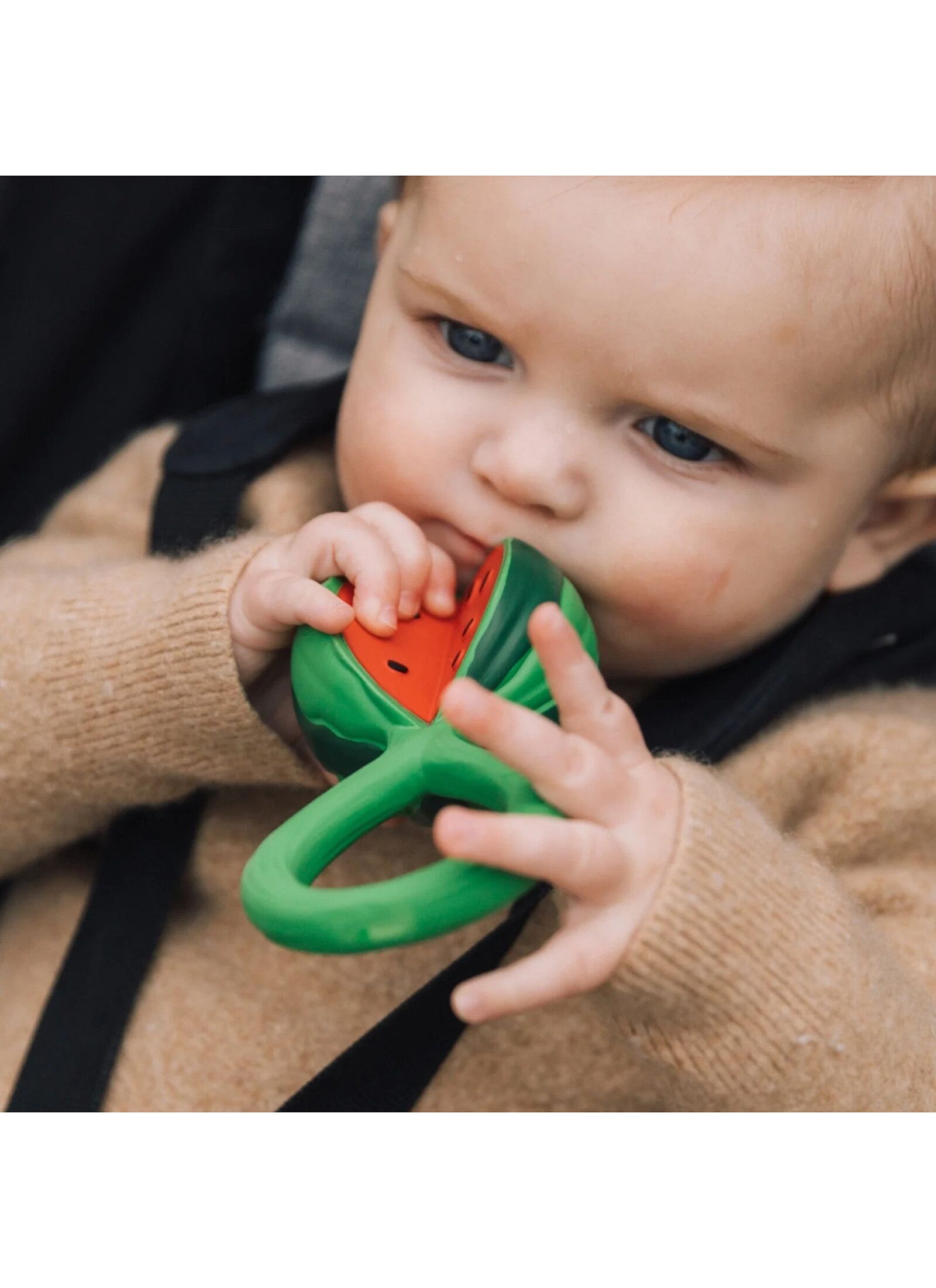RATTLE-TEETHER WATERMELON