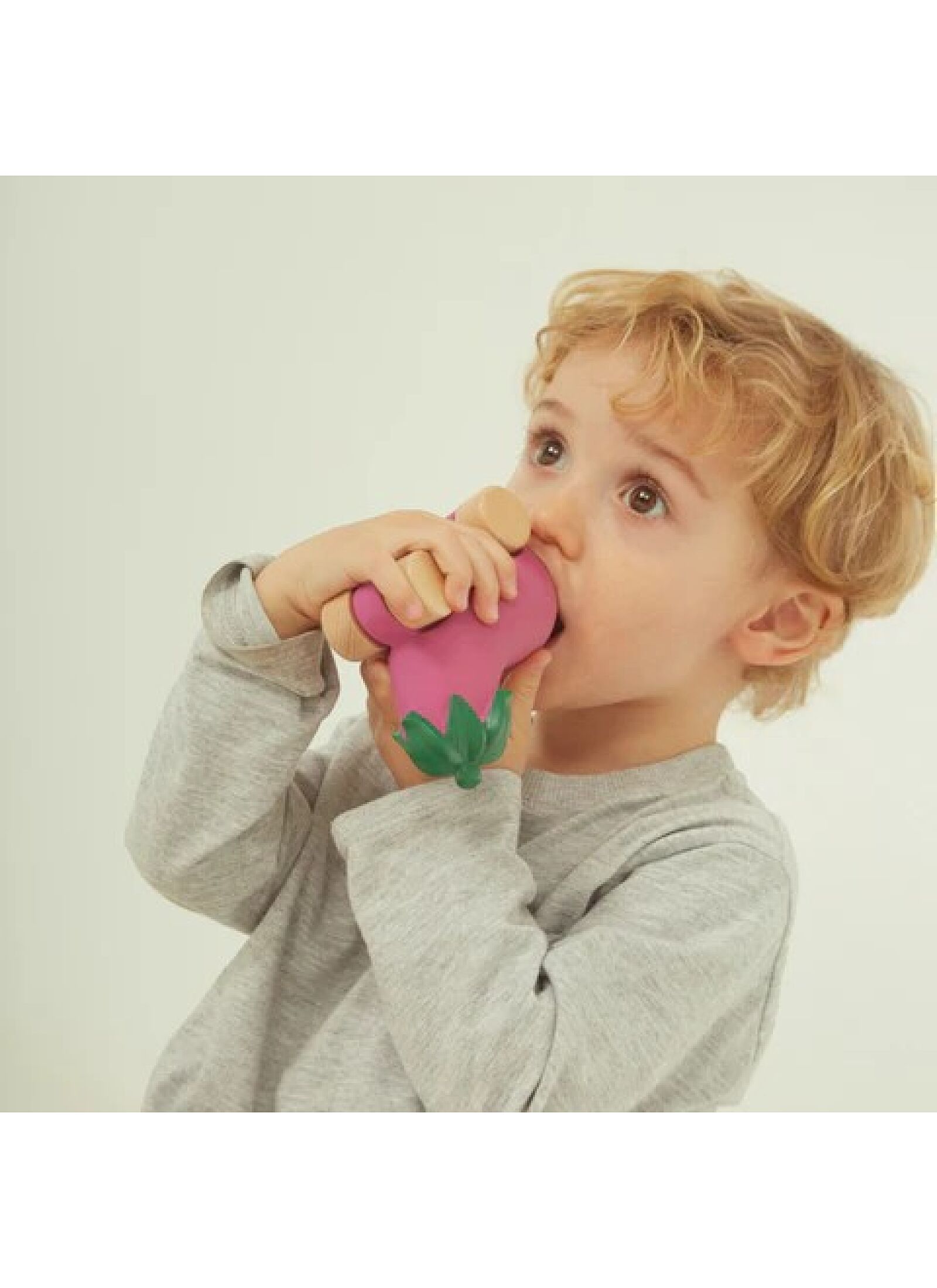 CAR-TEETHER EGGPLANT