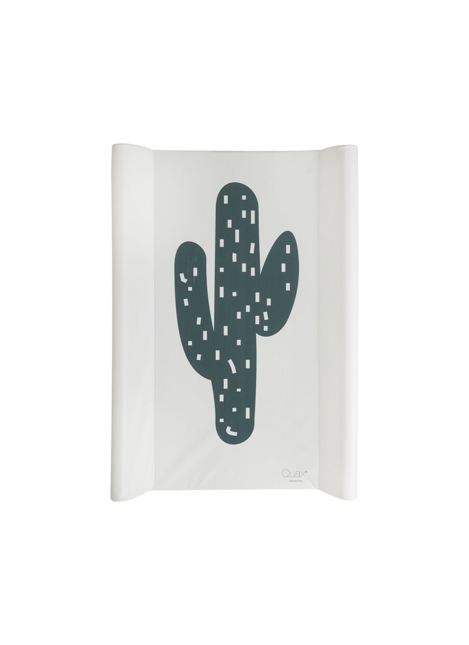 CHANGING CUSHION CACTUS