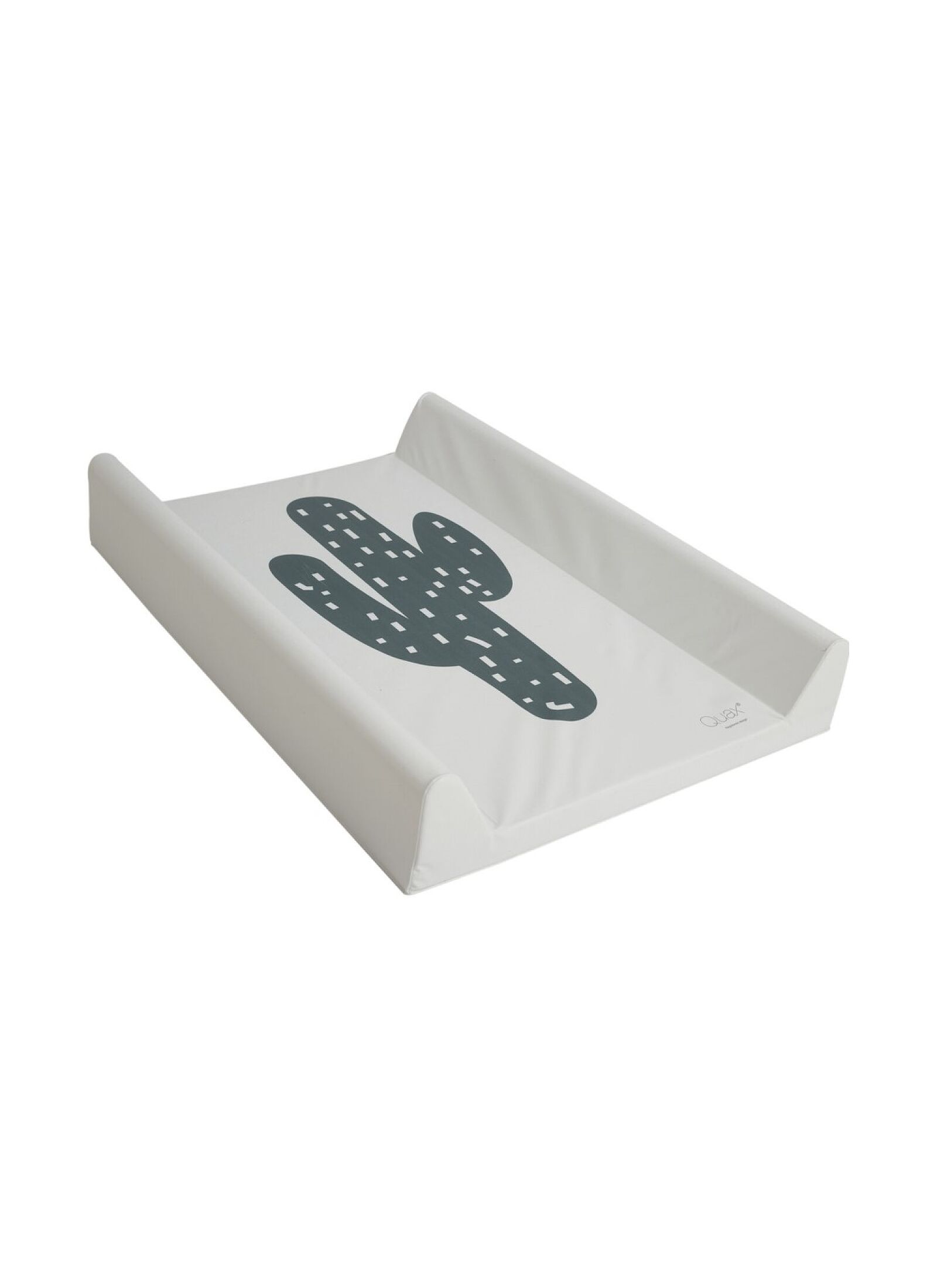 CHANGING CUSHION CACTUS