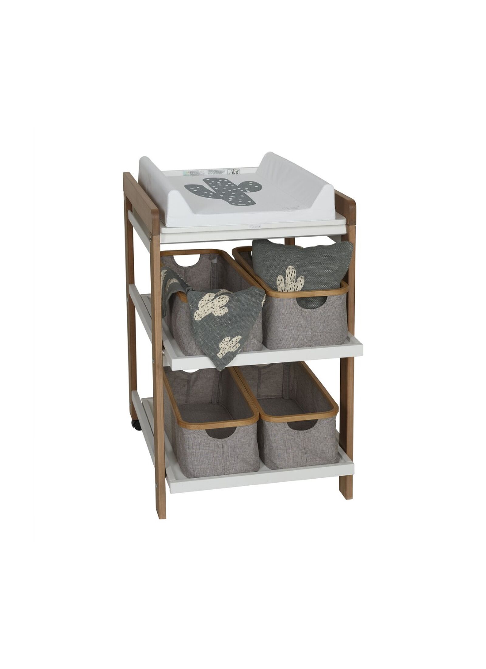 CHANGING CUSHION CACTUS