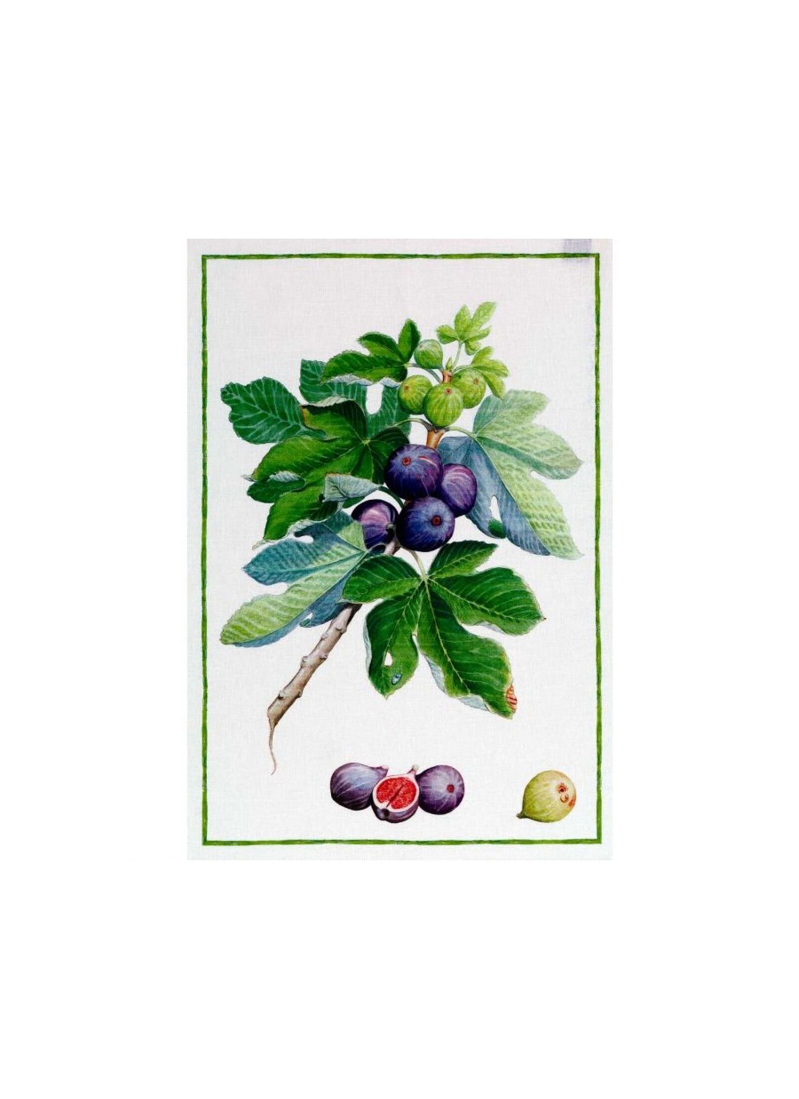 LINEN KITCHEN TOWEL DEMETRA FICHI GREEN