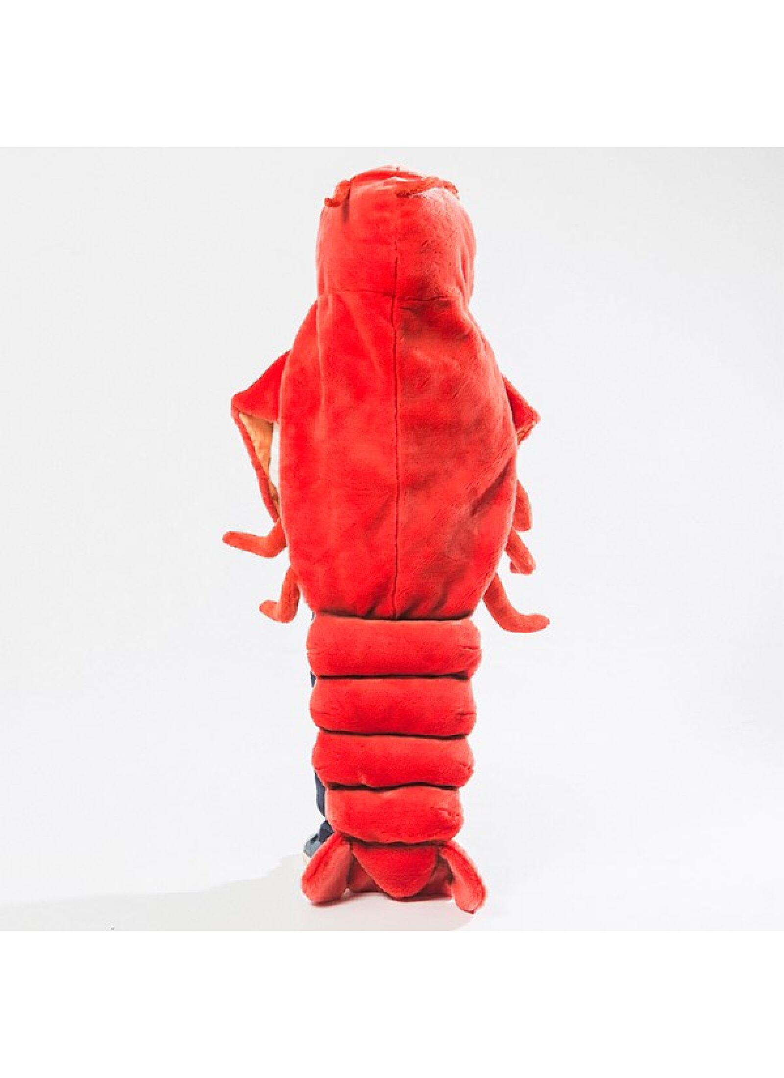 DISGUISE LOBSTER