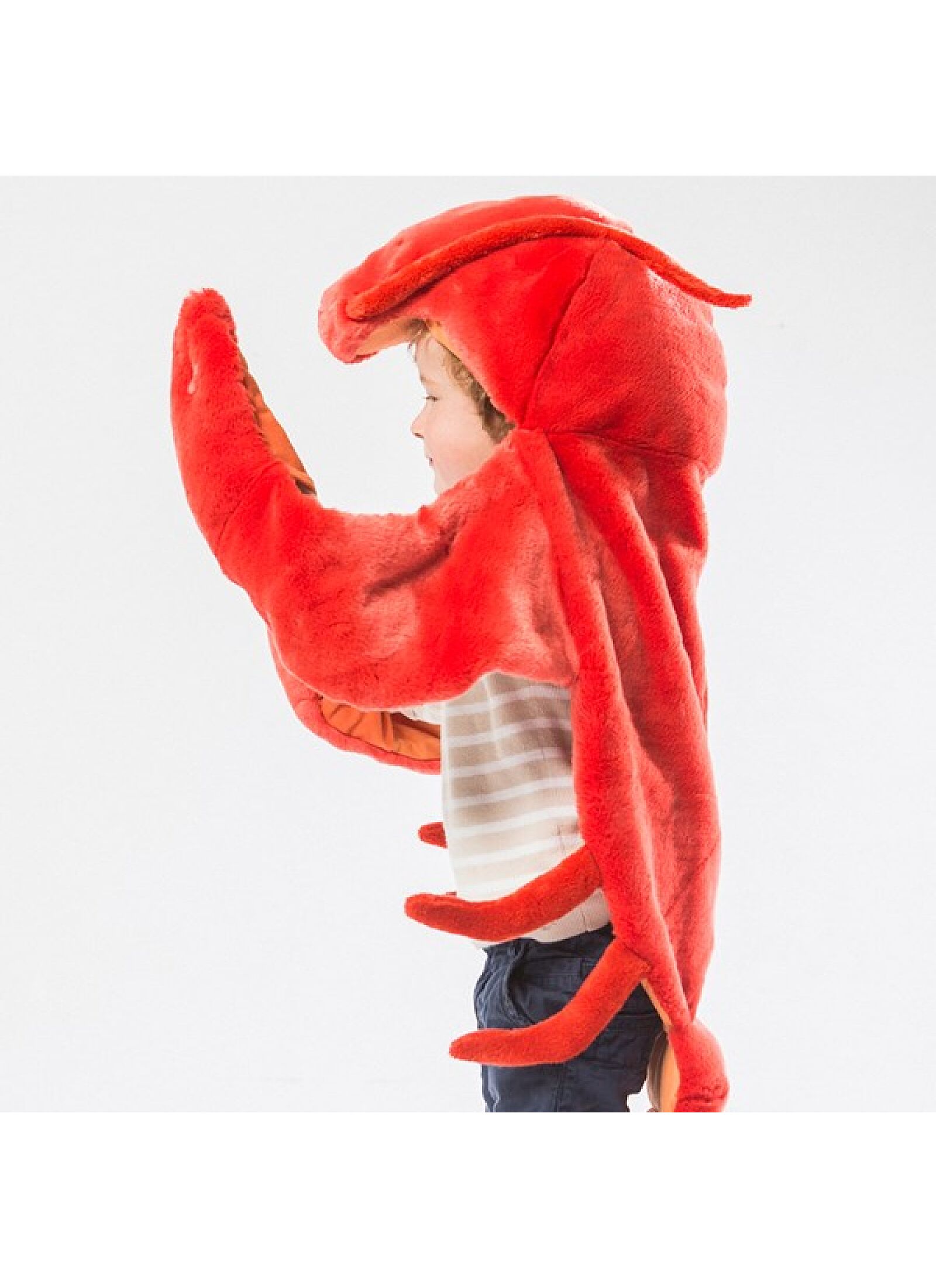 DISGUISE LOBSTER