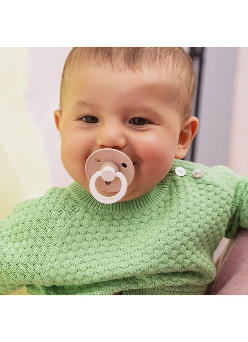 PACIFIER 2pcs COLOUR FUSION-BLUSH WOODCHUCK MIX