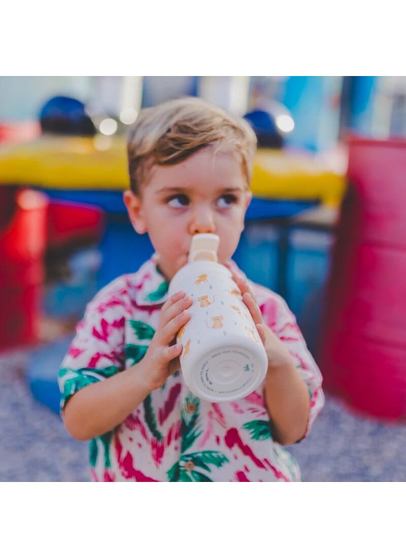 BOTTLE THERMOS (350ML) CATS