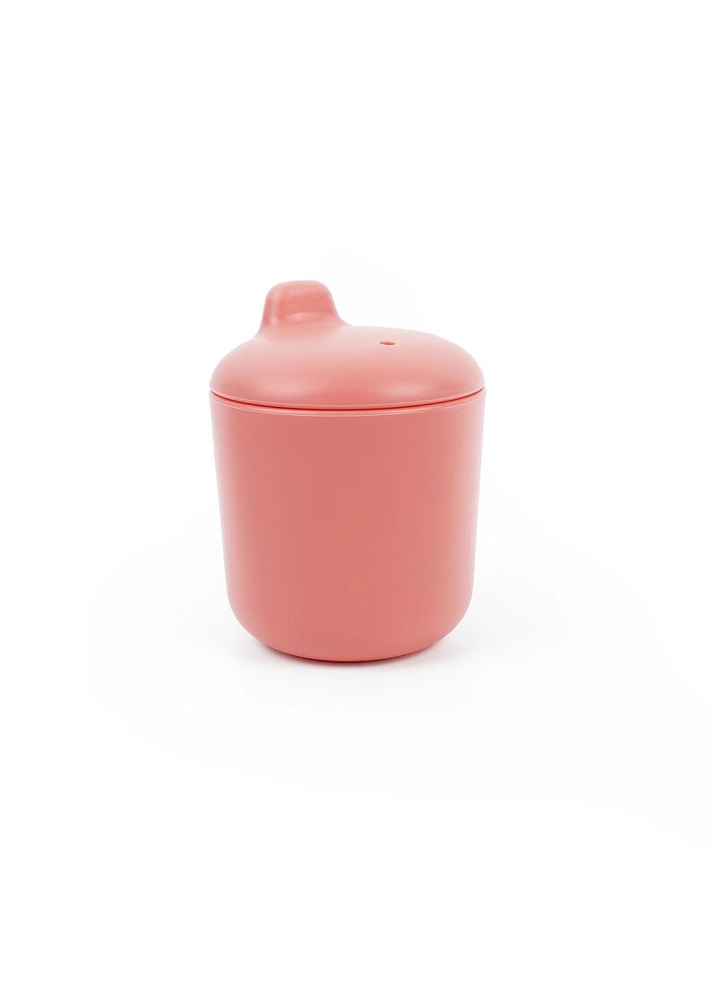SPOUT CUP CORAL