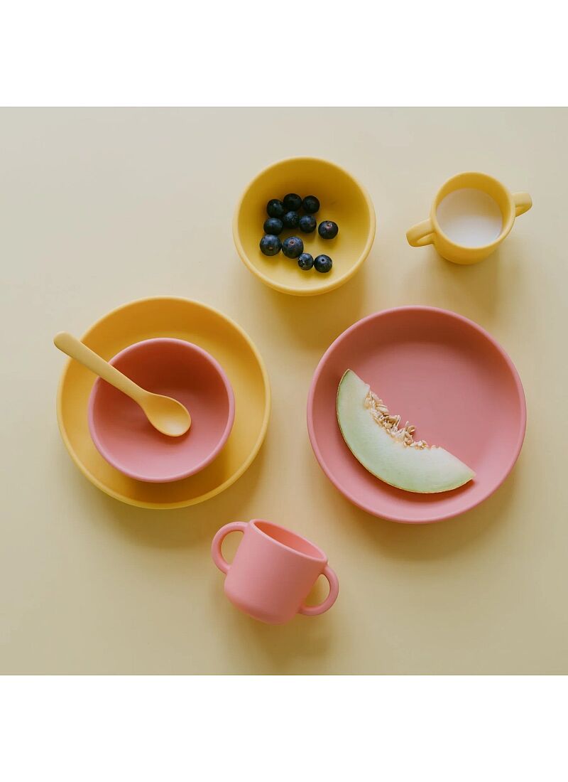 SILICONE DIVIDED PLATE CORAL