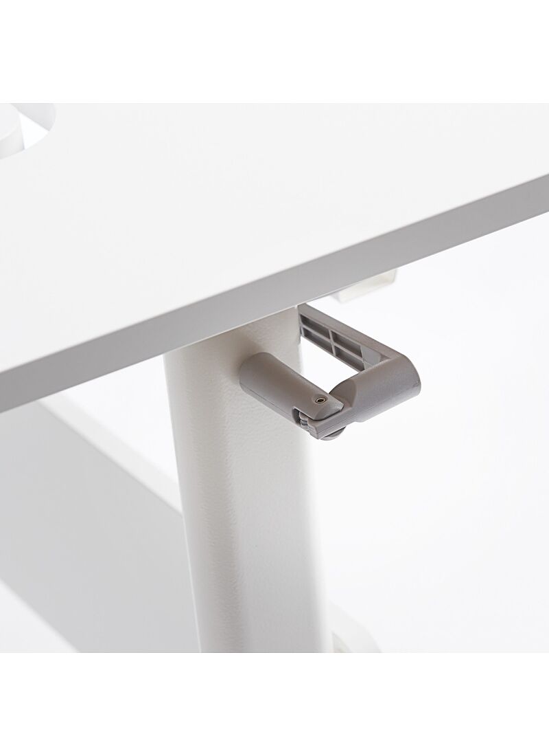 DESK MOBY