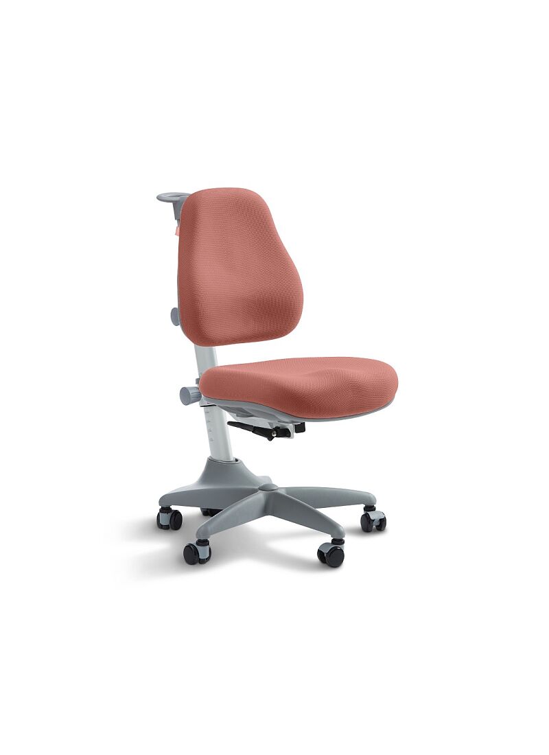 DESK CHAIR VERTO MISTY ROSE